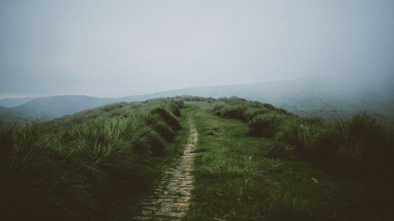 sky, 720P, green color, grass, plant, tranquil scene, footpath, land, outdoors, scenics - nature, mist, green, mountain, direction, faded, tranquility, HD Wallpaper