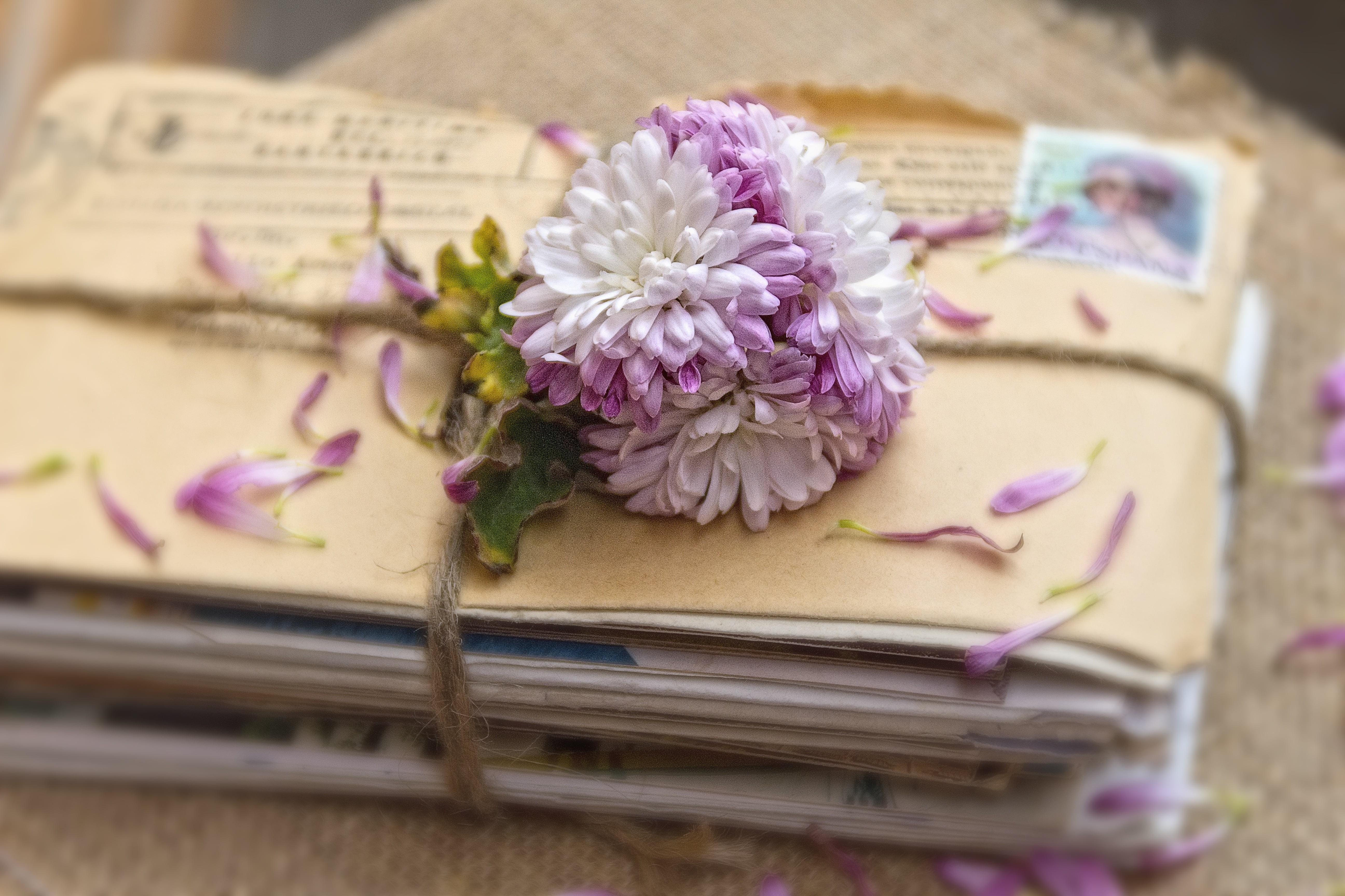 single Flower, gift, plant, selective focus, vulnerability, freshness, table, blossom, flowers, flower arrangement, fragility, retro Styled, beauty in nature, HD Wallpaper