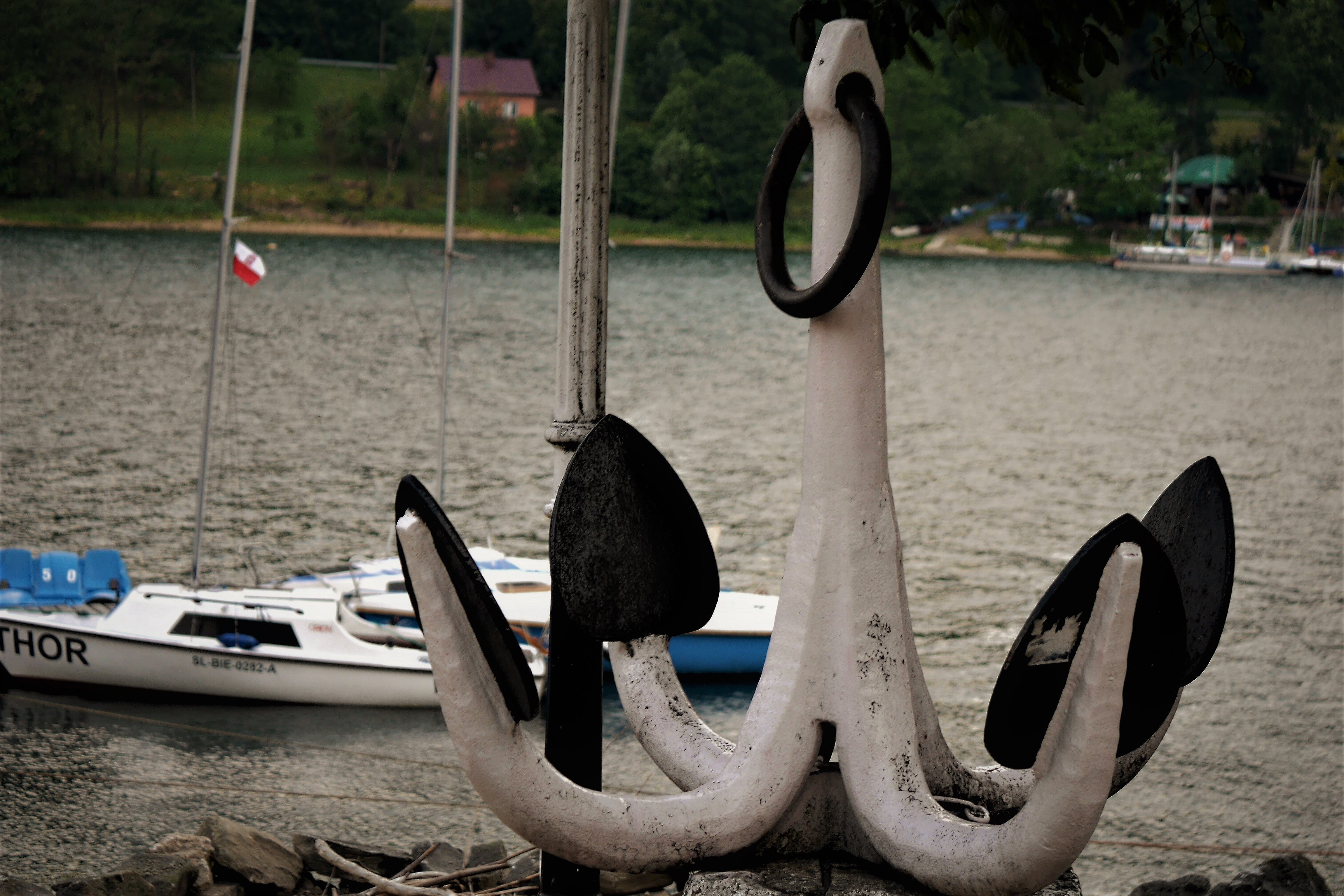 animal, water, nautical vessel, Tresna, animals in the wild, 4K, bird, mode of transportation, Firewall, day, lake, Anchor, the firewall, vertebrate, focus on foreground, HD Wallpaper