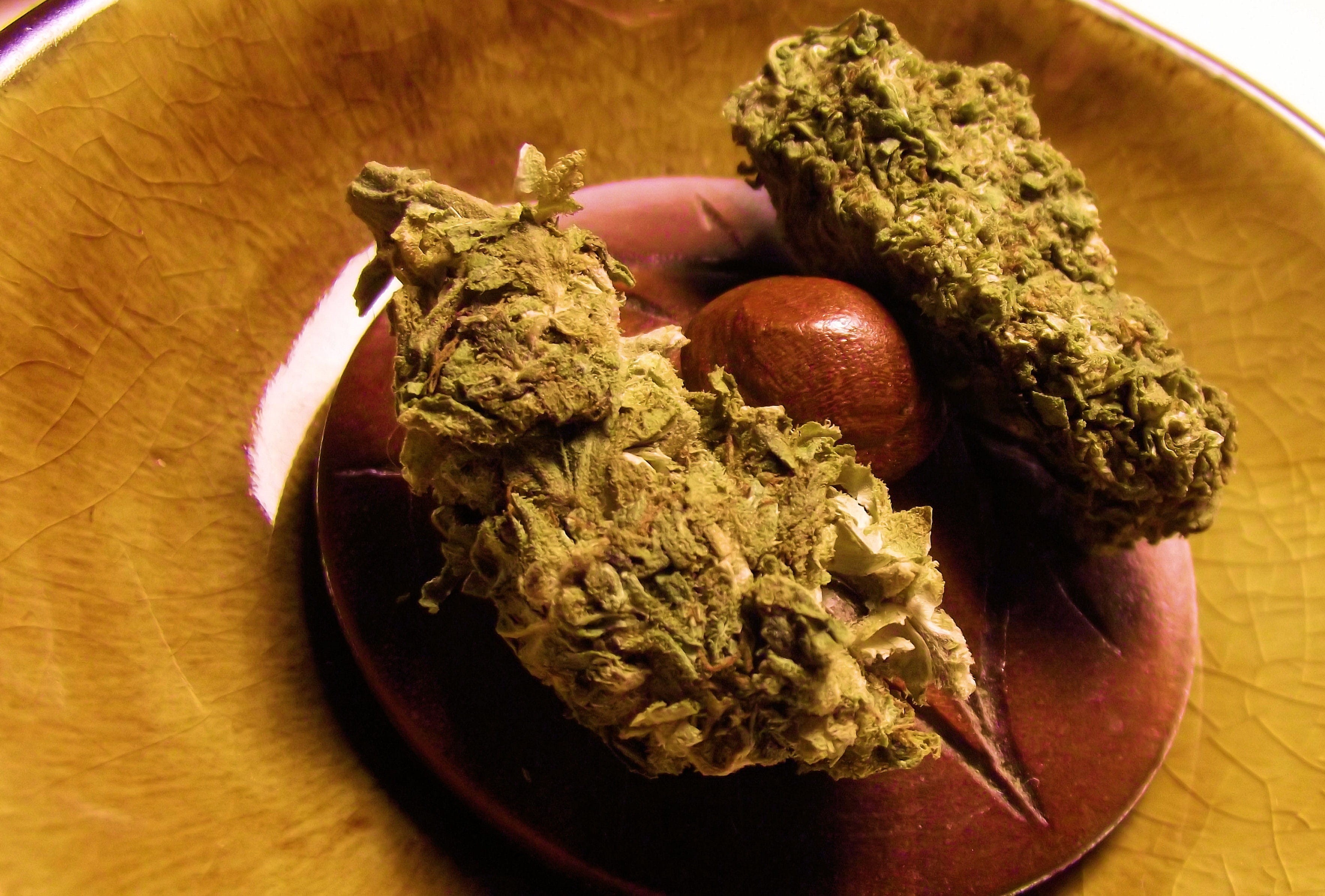 cultivation, prescription, table, narcotic, dro, serving size, herb, ready-to-eat, nut - food, freshness, indoors, hashish, medical, no people, healthy eating, HD Wallpaper