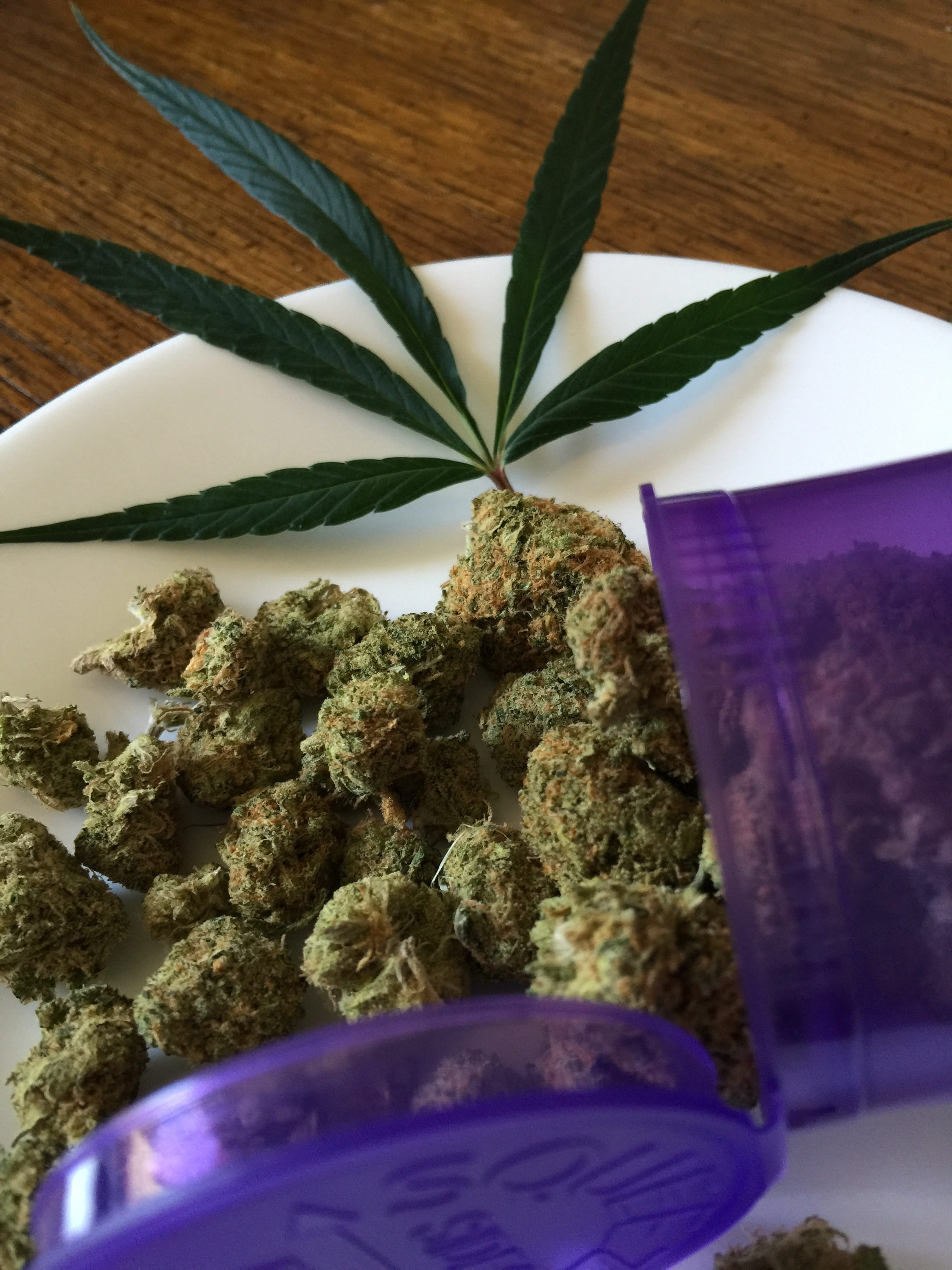 weed, hemp, indoors, herbal medicine, plant part, cannabis plant, natural, tetrahydrocannabinol, illegal, marihuana, drug, cannabis - narcotic, Cannabis Sativa, Phone HD Wallpaper