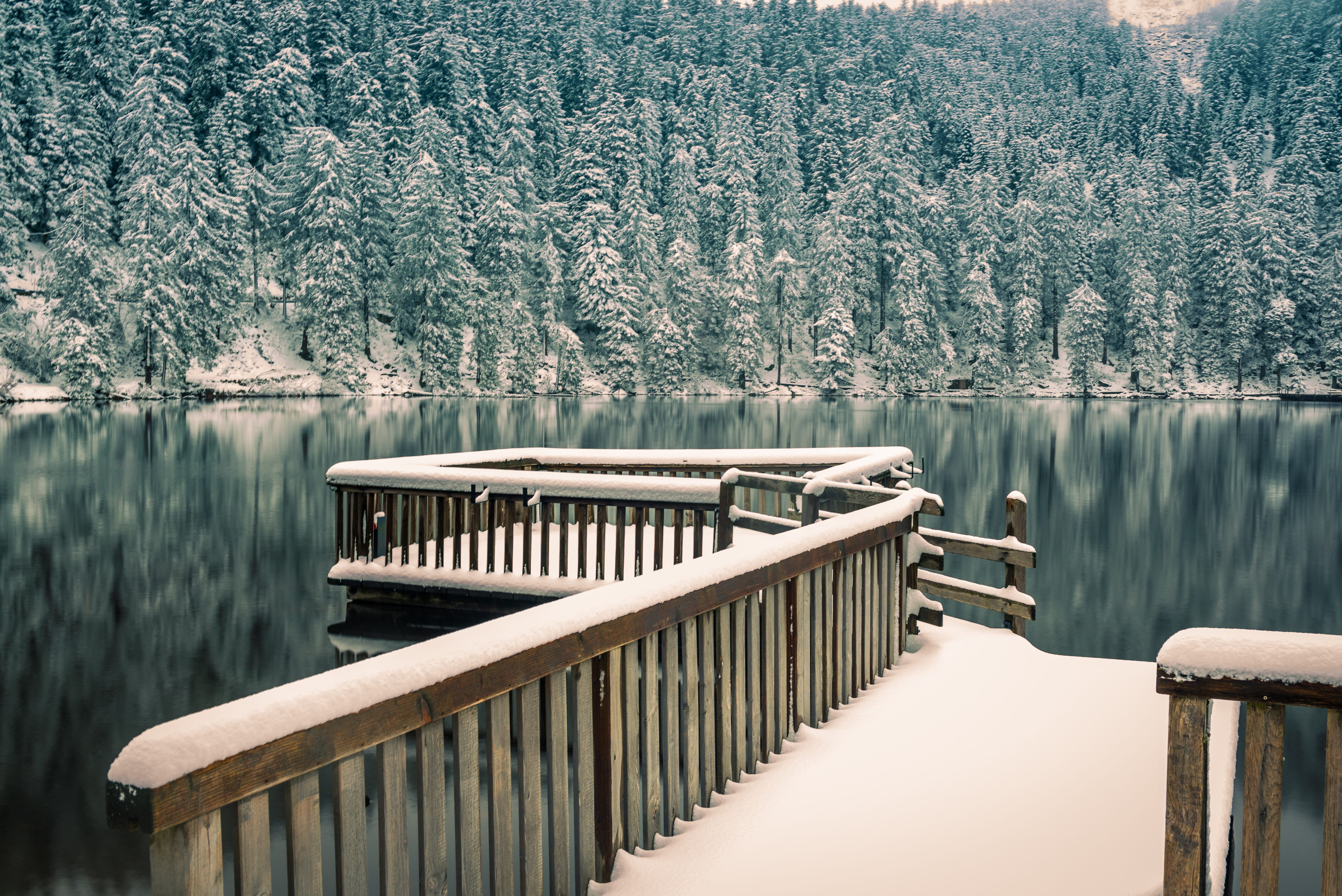 waterfront, waldsee, 5K, plant, water, web, rest, investors, scenics - nature, mummelsee, mirroring, bank, waters, railing, wood - material, winter, tranquility, HD Wallpaper