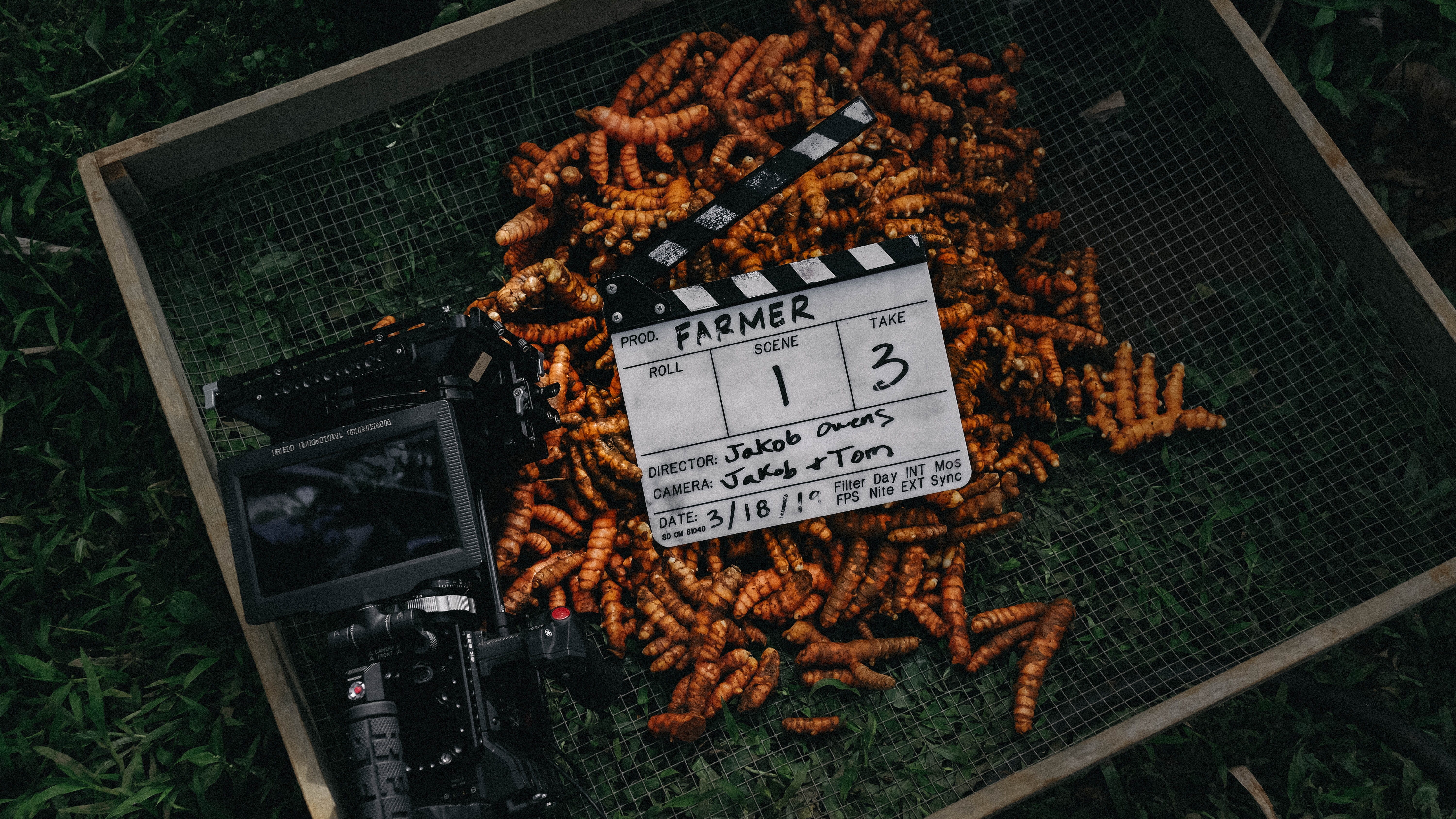 abundance, island, metal, film cameras, day, container, film crew, plant, grass, 5K, cameras, food, text, turmeric, paper, videos, healthy eating, vegetable, HD Wallpaper