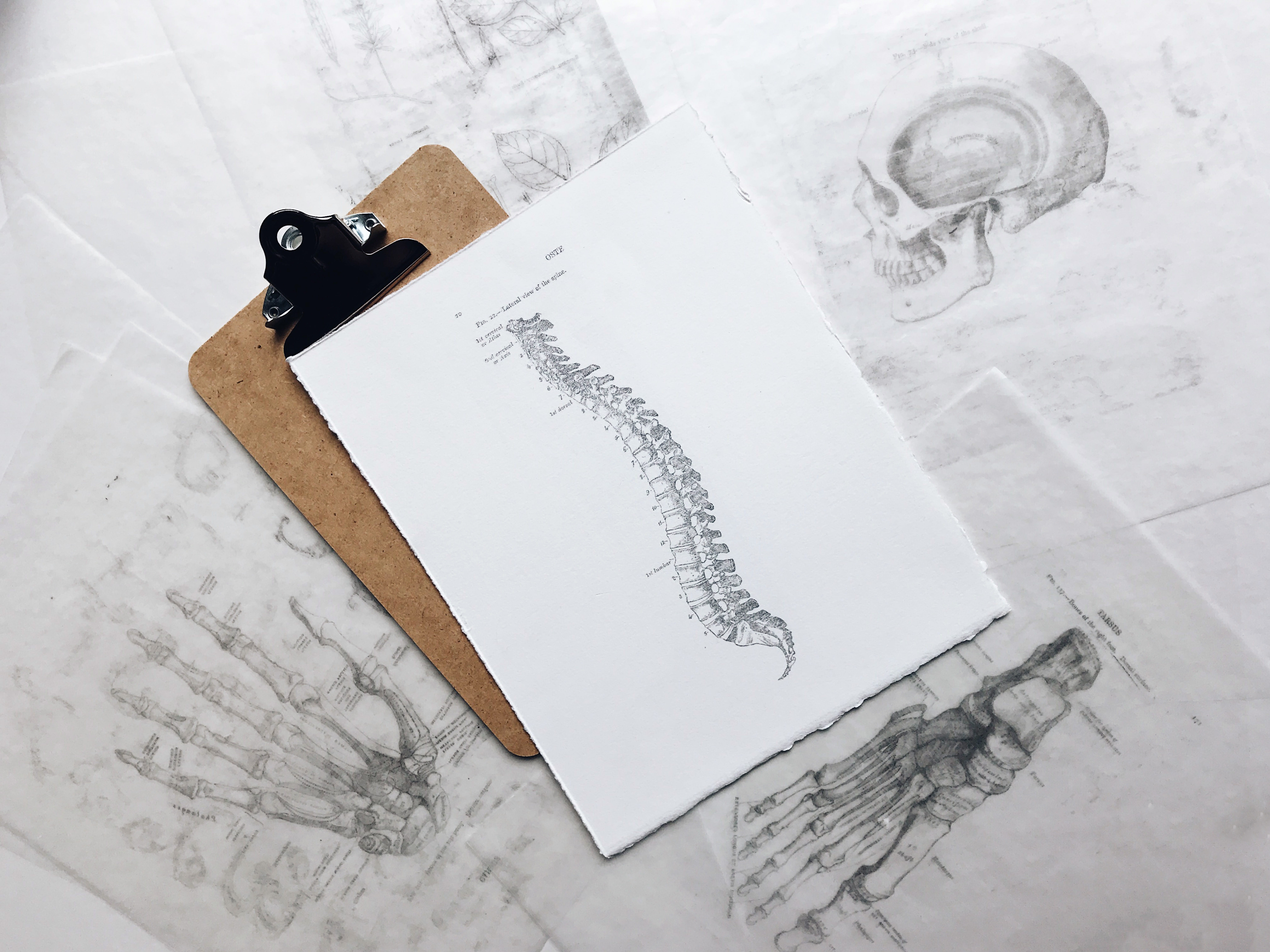 art and craft, print, white color, paper, sketch, black, cord, plan, 8K, design, spinal, pencil drawing, close-up, planning, still life, white, blueprint, HD Wallpaper