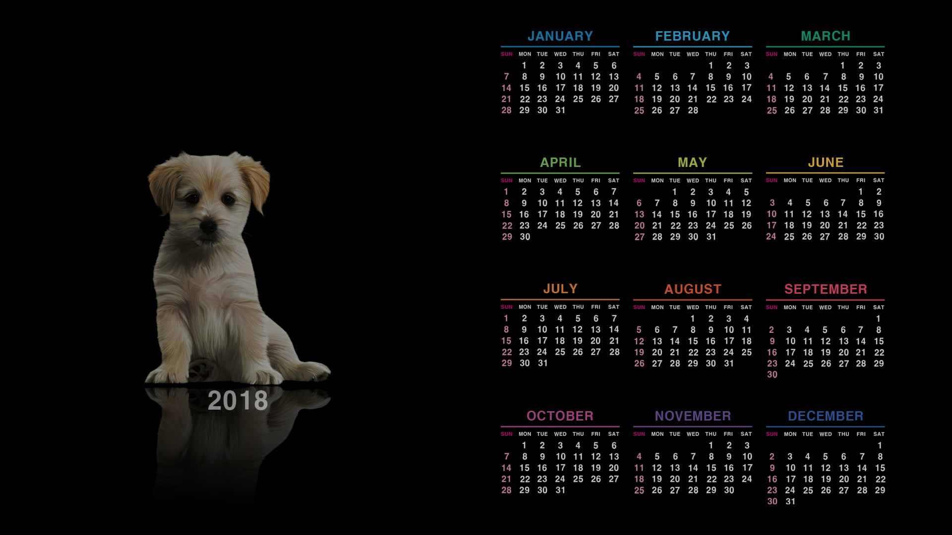 pets, black background, digital composite, domestic animals, dog, technology, studio shot, text, finance, one animal, no people, 1080P, puppies, western script, HD Wallpaper