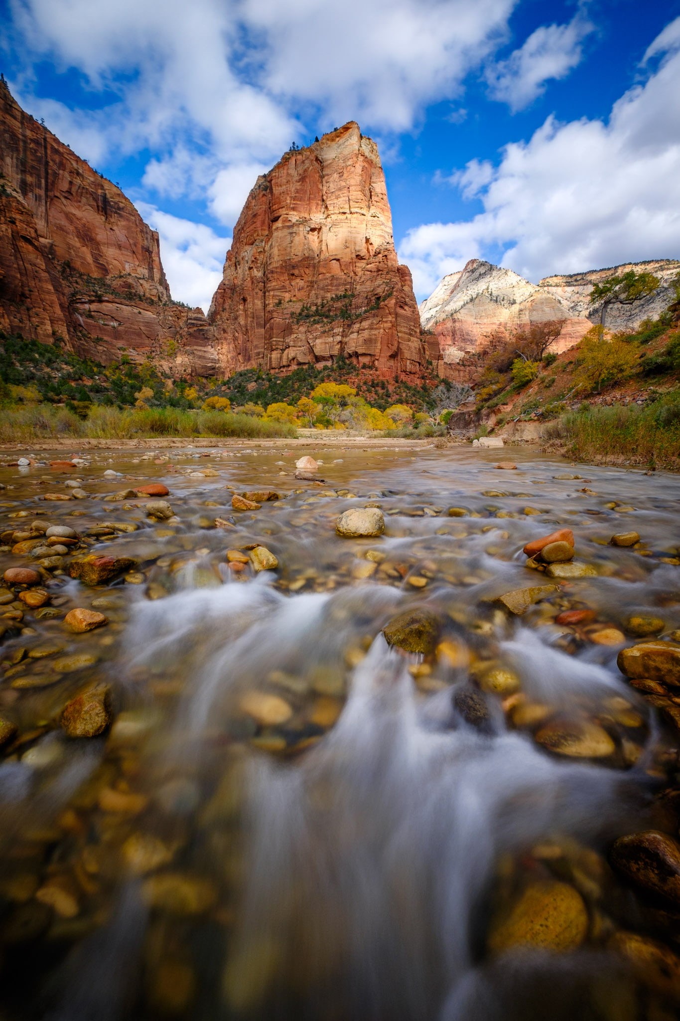 up, outdoors, brown, photo, scenics, water, flowing, river, near, zion national park, landscape, stream, closed, 1080P, department of the interior, nature, Phone HD Wallpaper