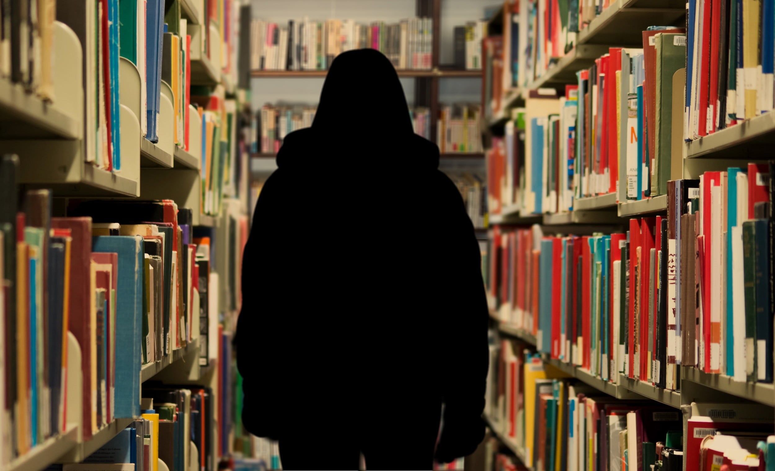 research, one person, folders, real people, bookshelf, reading, silhouette, students, education, series, cabinets, literature, library, bookstore, person, HD Wallpaper
