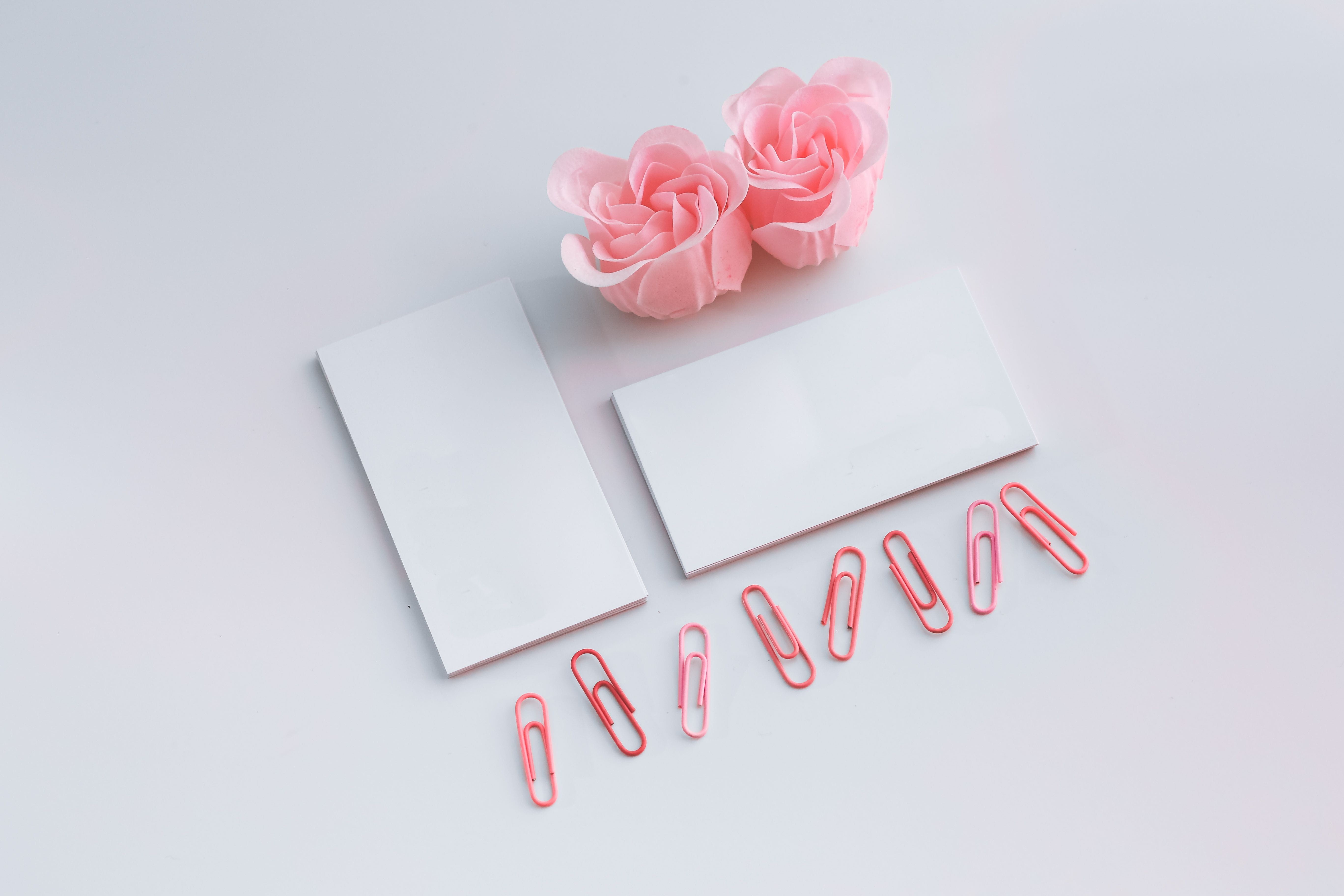 5K, text, plant, emotion, empty, femine, rose - flower, rose, indoors, paper, paper clips, romance, roses, beauty in nature, business card, wedding, female, HD Wallpaper