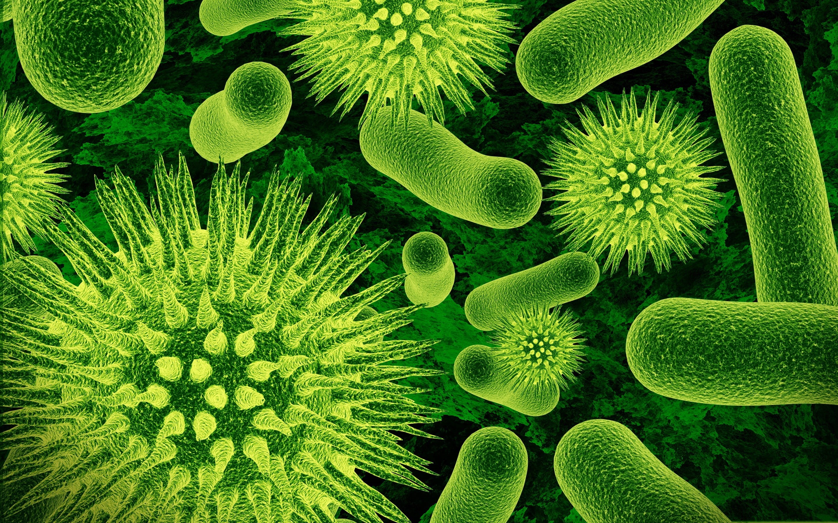 biology, microorganisms, 2K, increase, bacteria, HD Wallpaper
