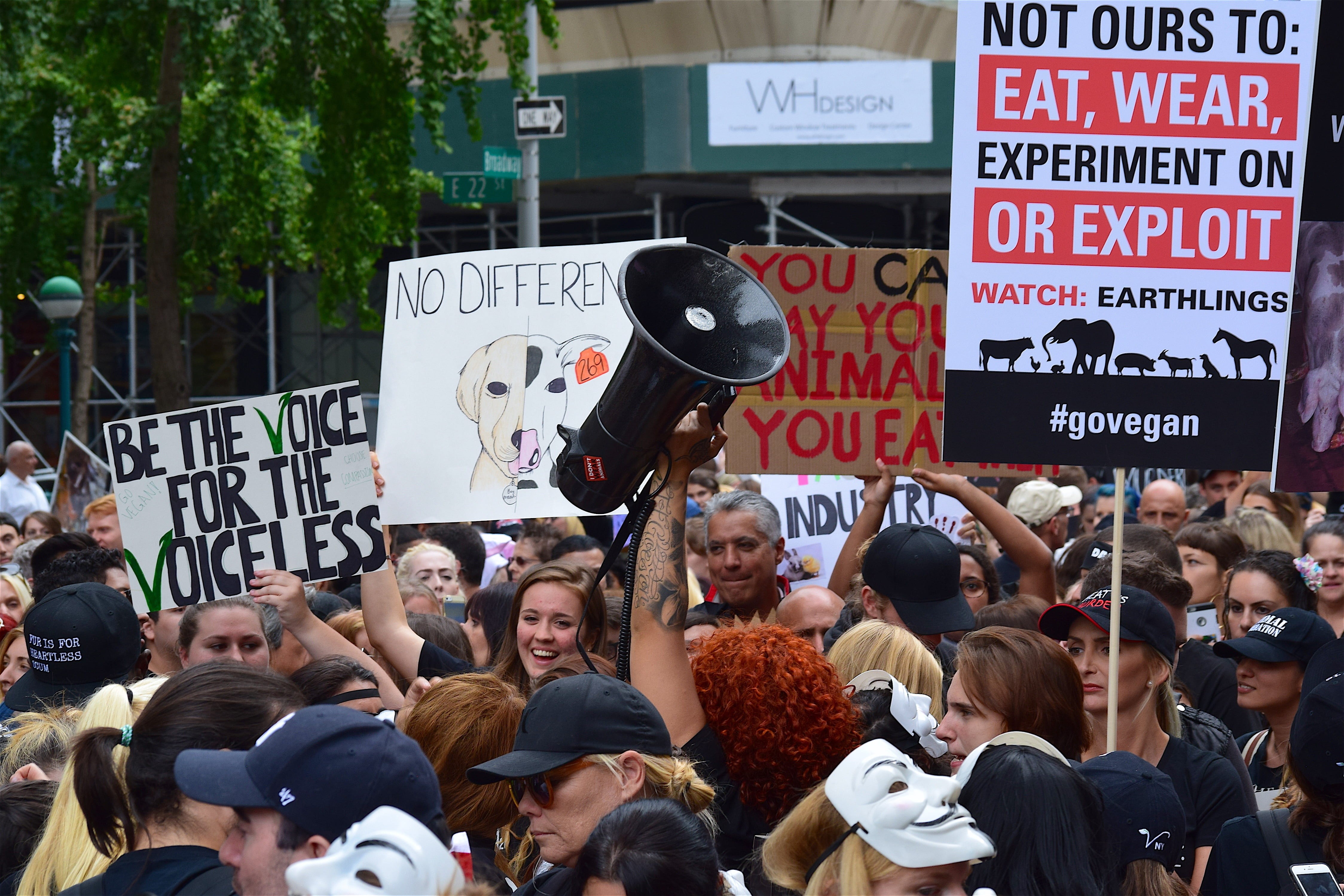 banner - sign, animal rights, displeased, signs, text, message, street, protester, dom, placard, city, large group of people, groups of people, real people, HD Wallpaper