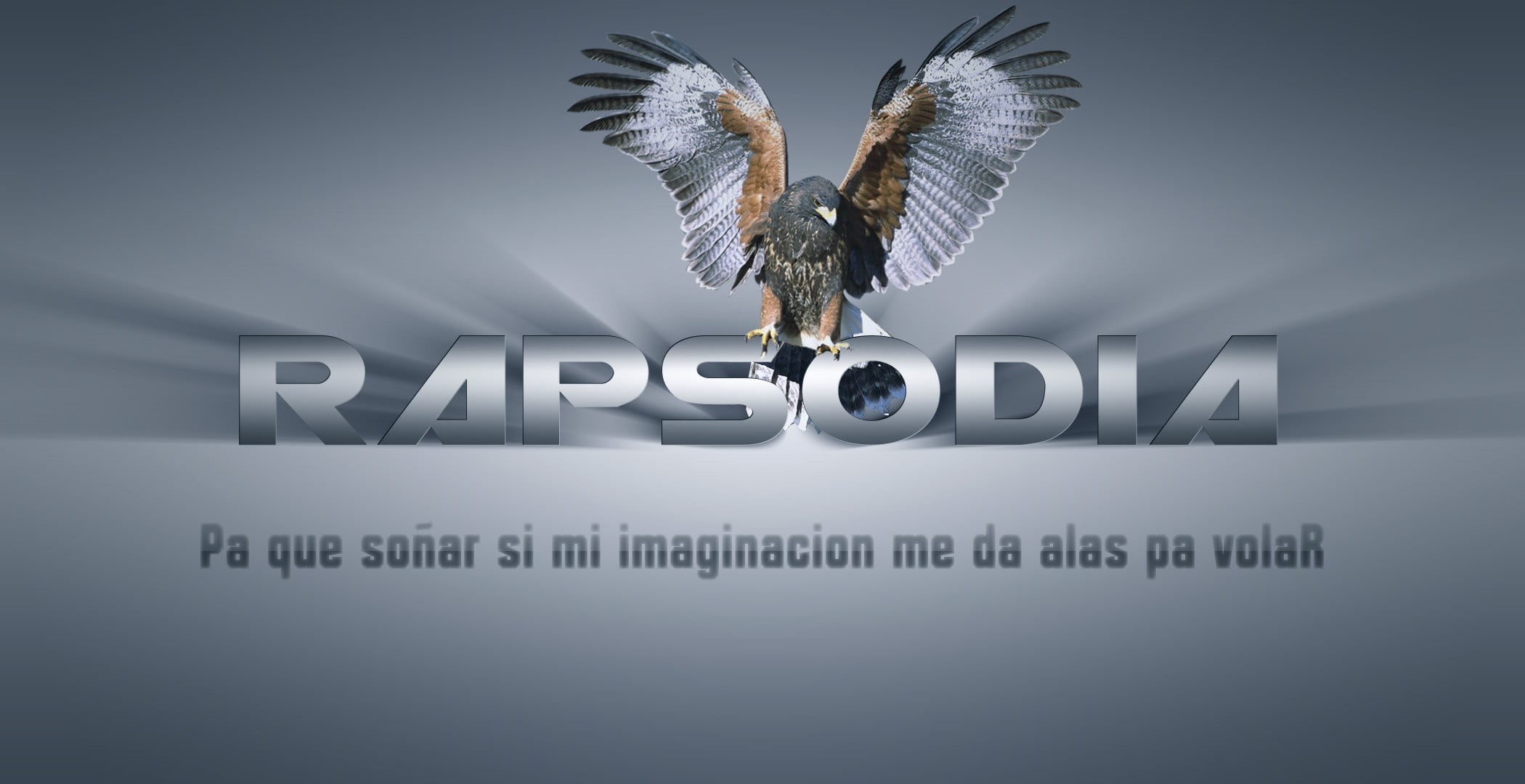 animal body part, development, bird, gray, studio shot, digital composite, business, efficiency, feather, communication, no people, hip hop, 1080P, nature, HD Wallpaper