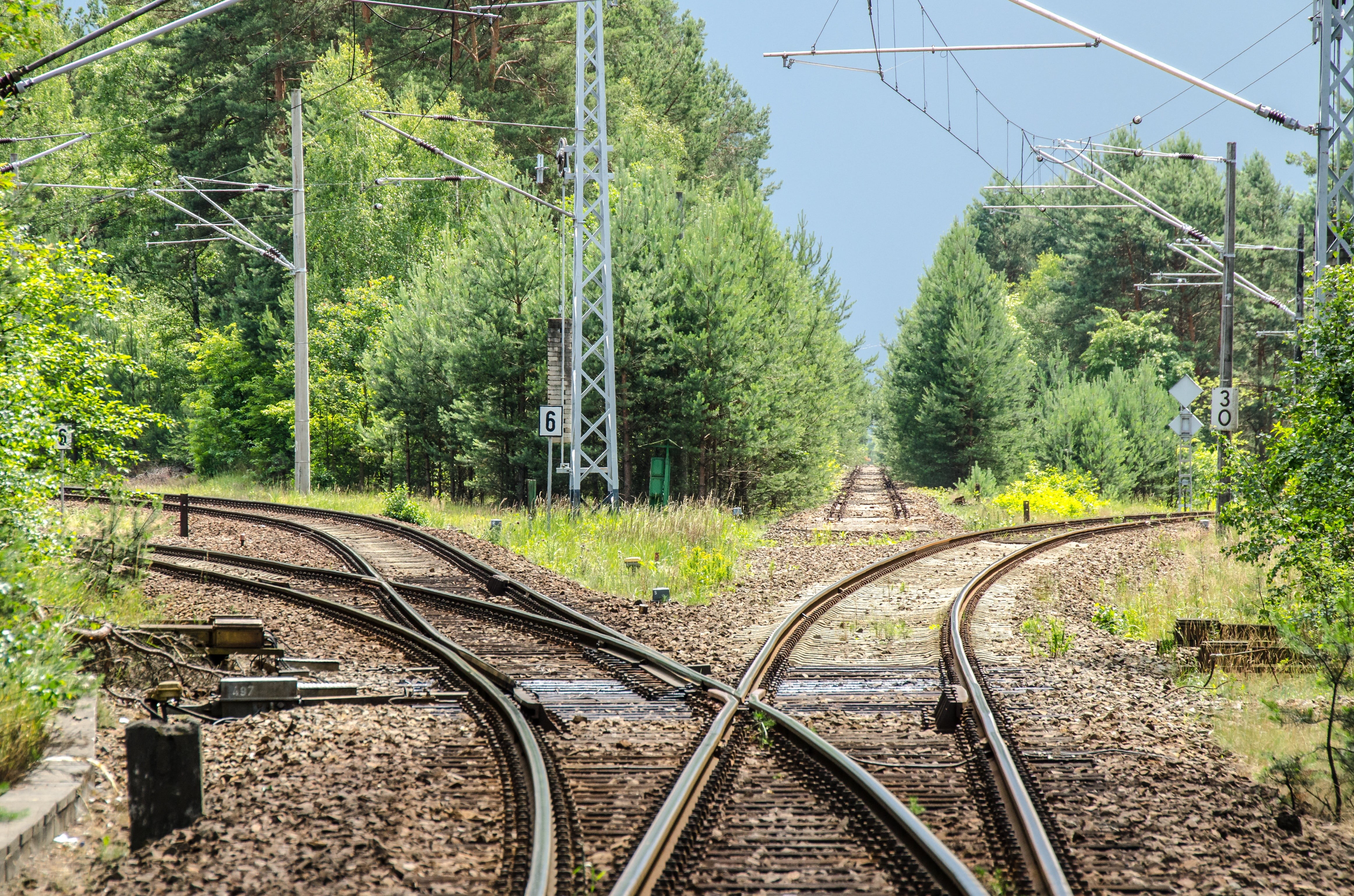 power supply, split road, both ways, metal, power line, growth, tree, cable, transportation, green color, transport, electricity pylon, train - vehicle, HD Wallpaper