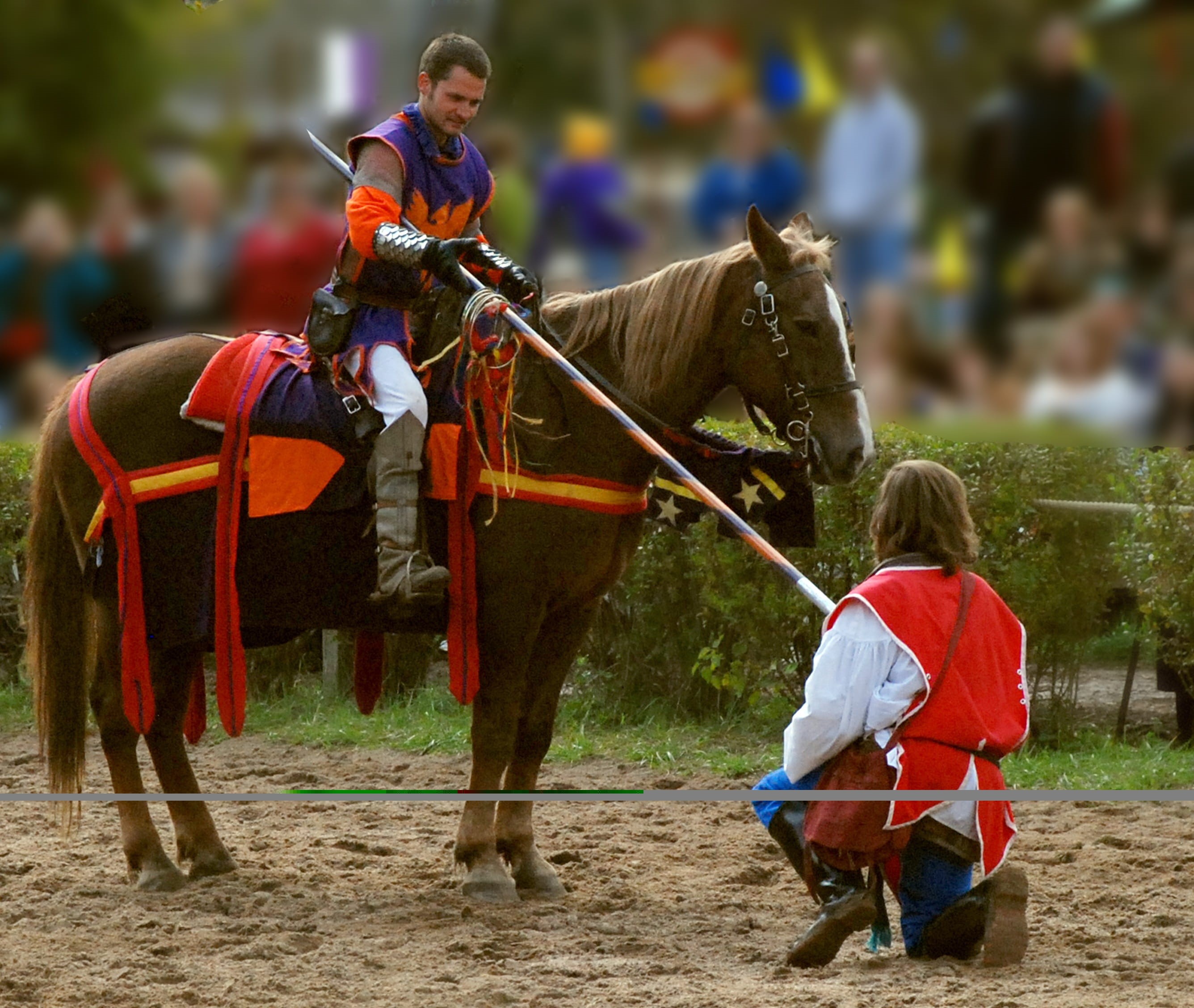animal themes, childhood, animal wildlife, men, spectator, Knights, people, vertebrate, livestock, child, man, pets, 2K, Horse, working animal, group of animals, HD Wallpaper