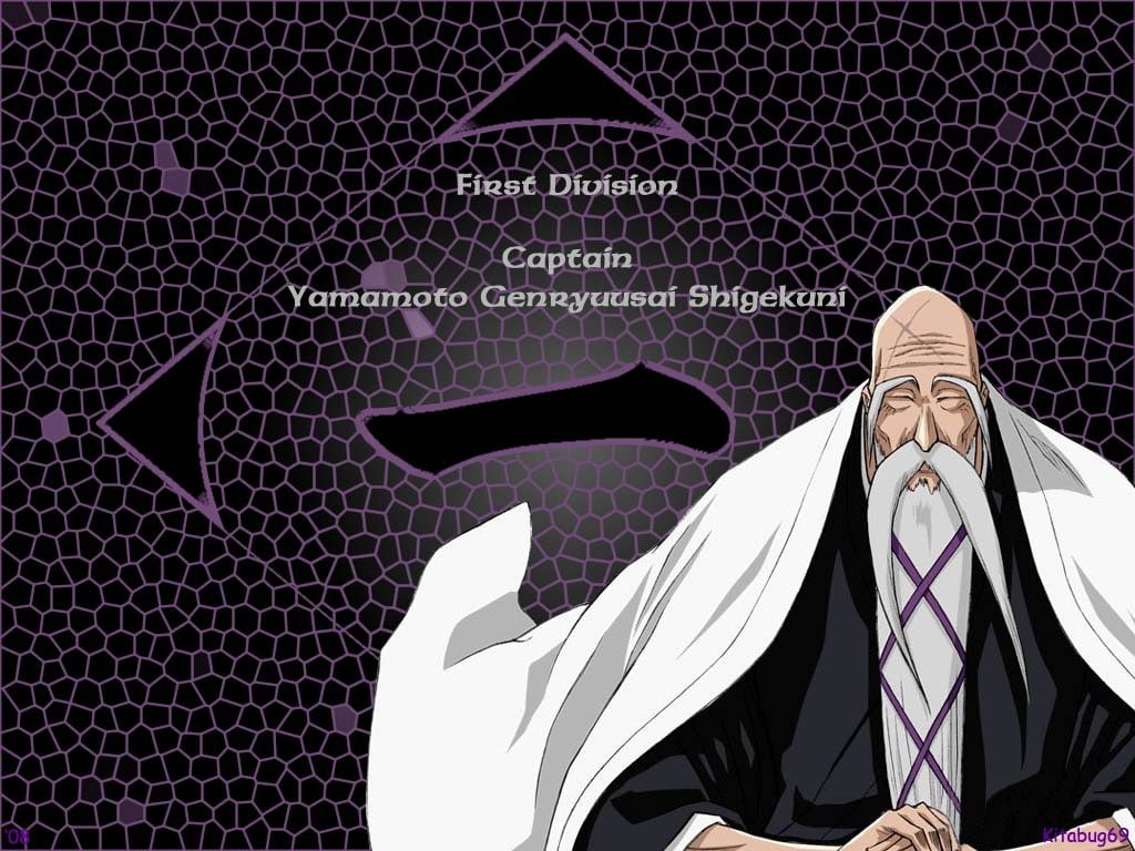 anime, captain commander, captain, 480P, rare, commander, art, bleach, thx, hd, rate up, HD Wallpaper