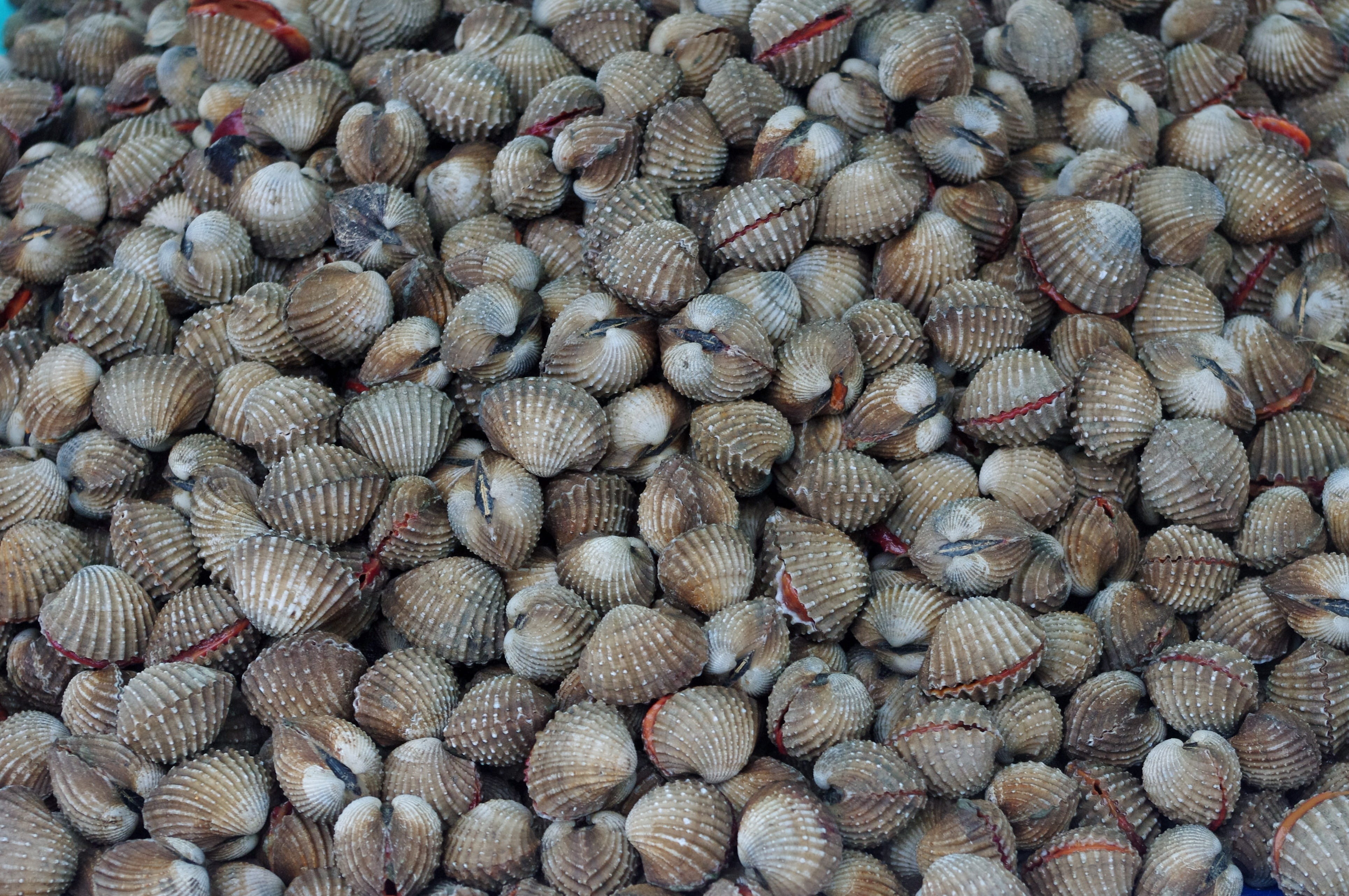 abundance, textured, thailand-market, close-up, fish business, freshness, for sale, outdoors, market, no people, 4K, exotic food, tropical, full frame, HD Wallpaper