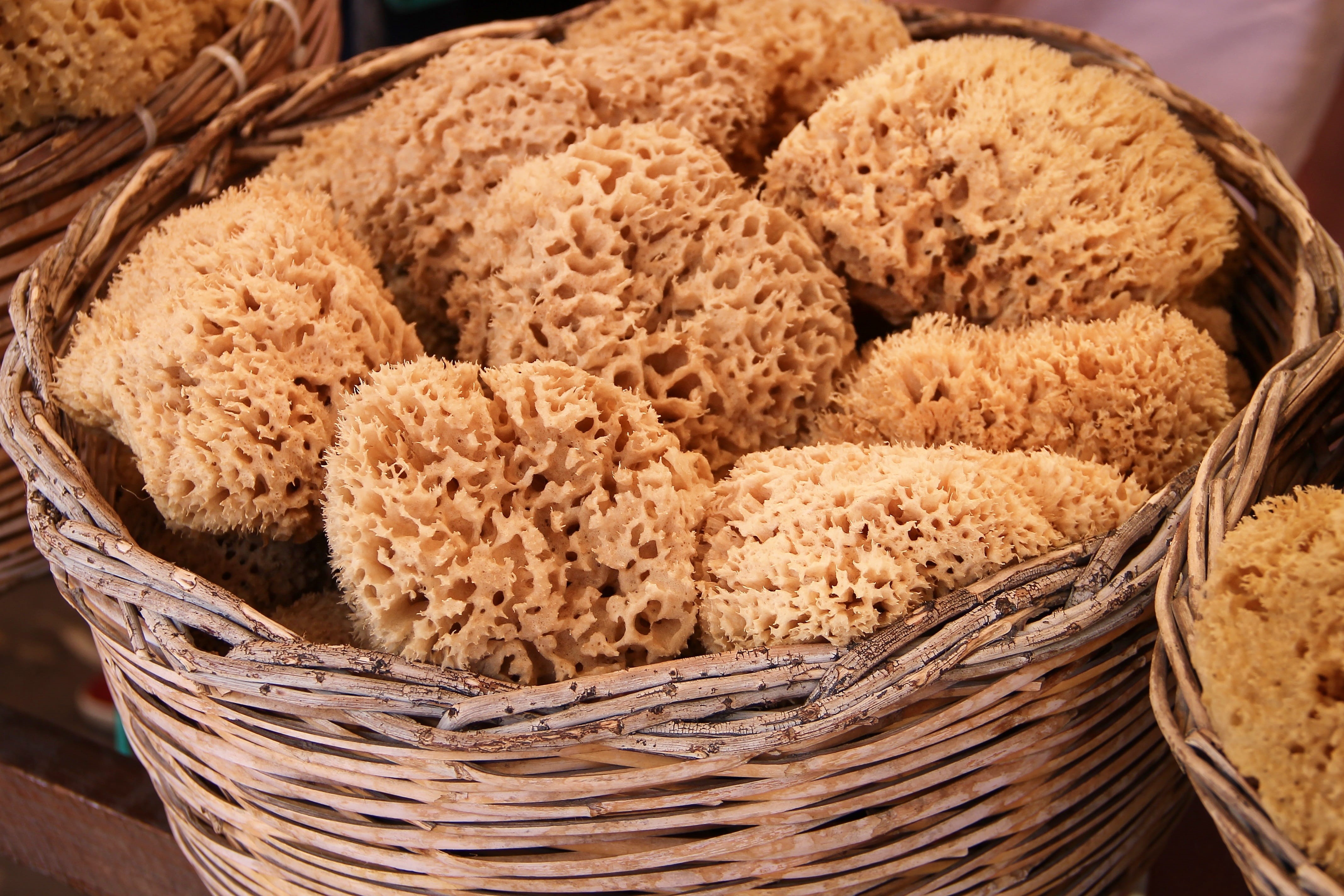 bread, greece, store, container, groceries, street market, pattern, porous, sponge, bath sponge, sponges, healthy eating, sea sponge, abundance, food, nature, HD Wallpaper