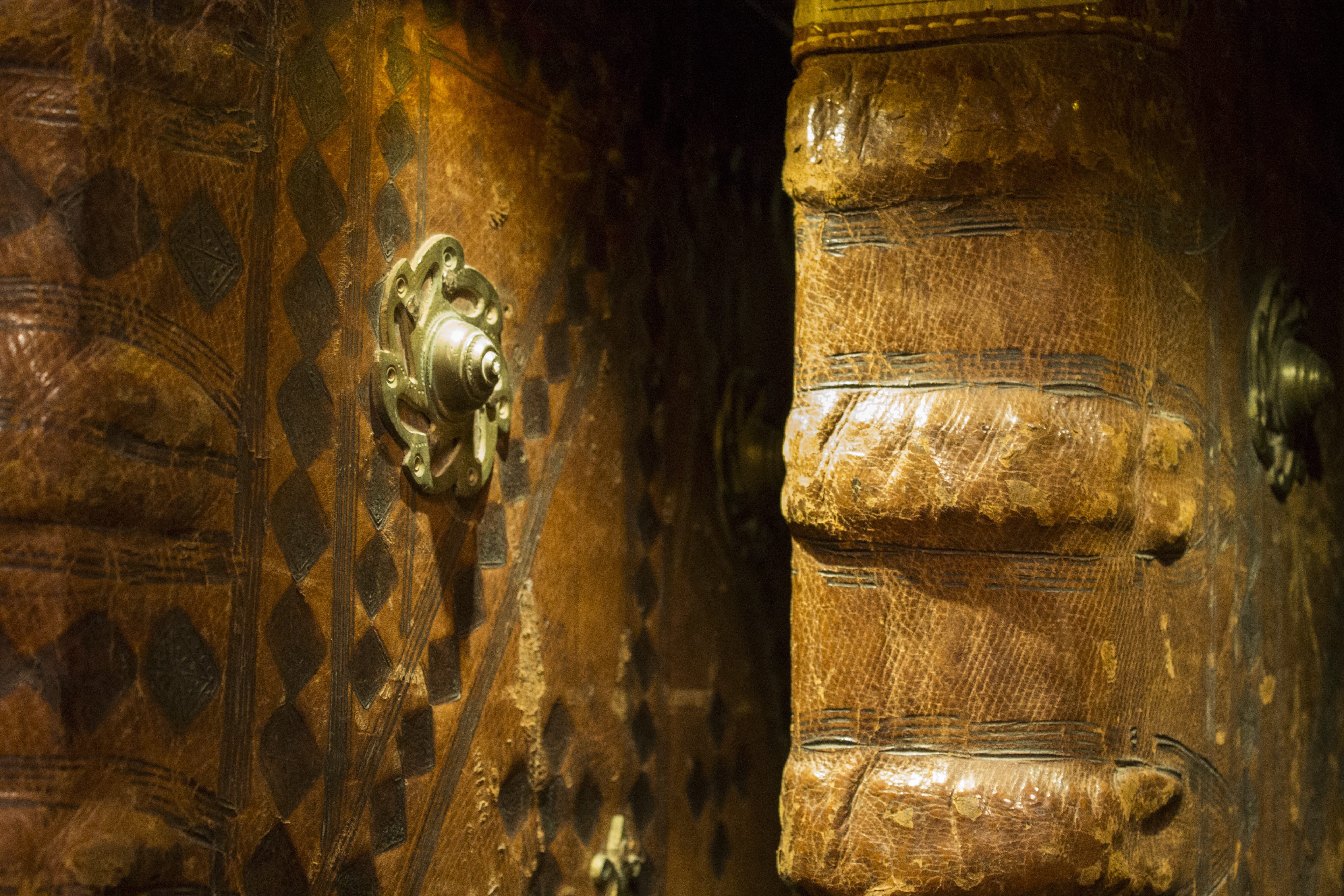 animals in the wild, indoors, collector, no people, wall - building feature, gold colored, close-up, low angle view, reading, Library, i am a student, collection, HD Wallpaper