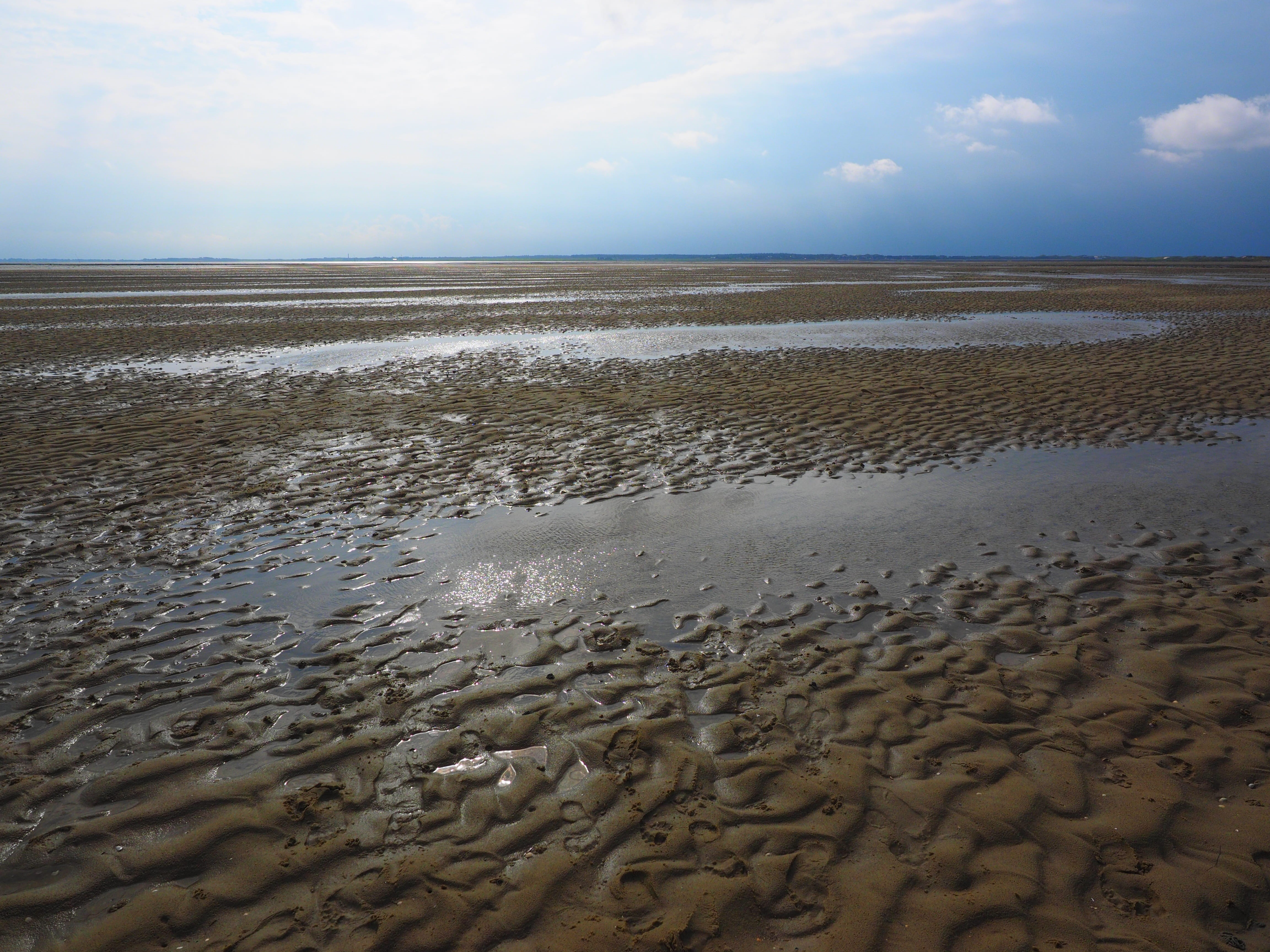 arid climate, nature, no people, islands, wet, föhr, sea, low tide, expert watt leader, horizon, beauty in nature, environment, outdoors, beach, sand watt, HD Wallpaper