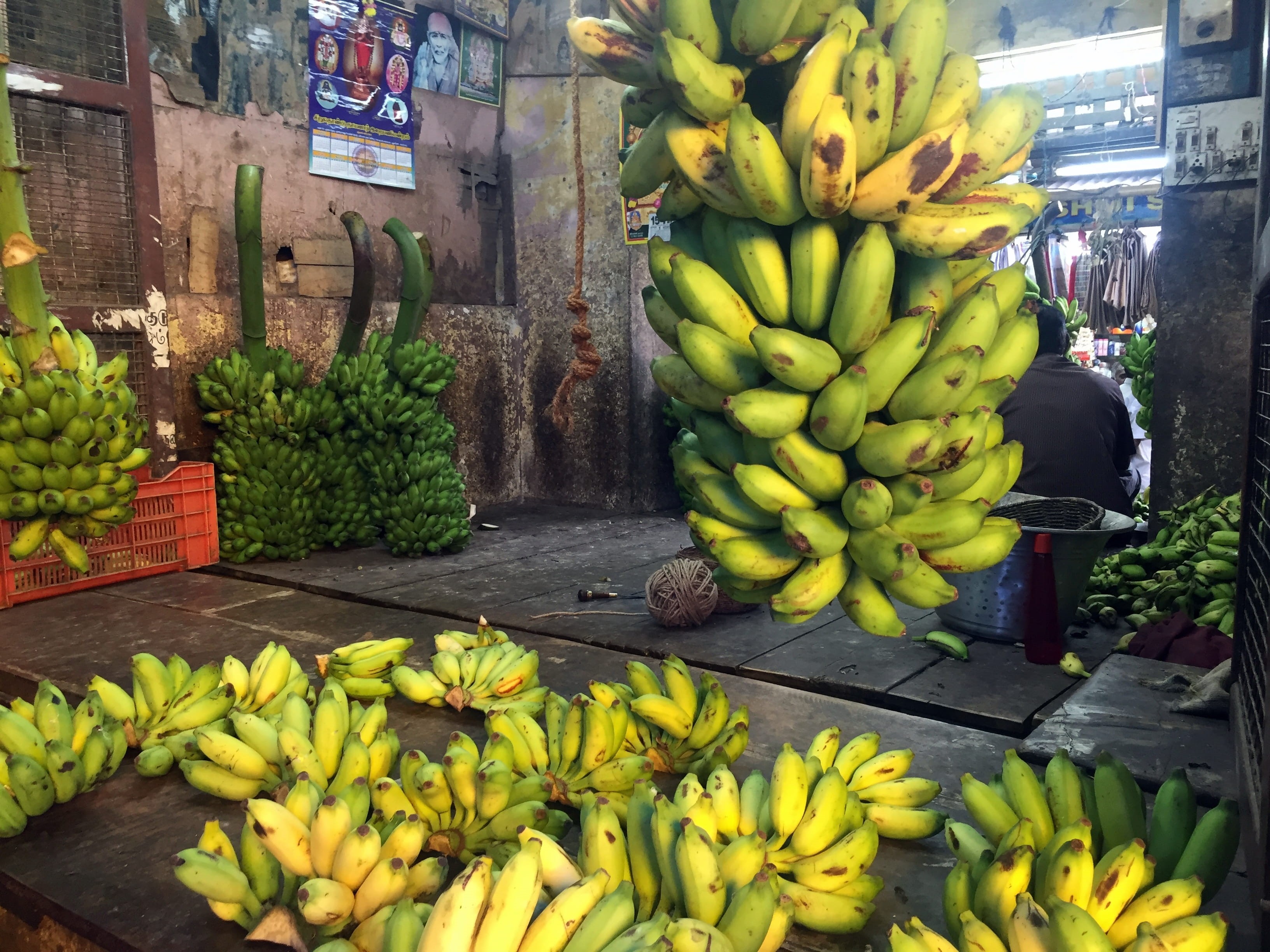 business, 2K, large group of objects, puducherry, container, food, sale, retail, tropical fruit, fruit, for sale, day, outdoors, trader, market, freshness, HD Wallpaper