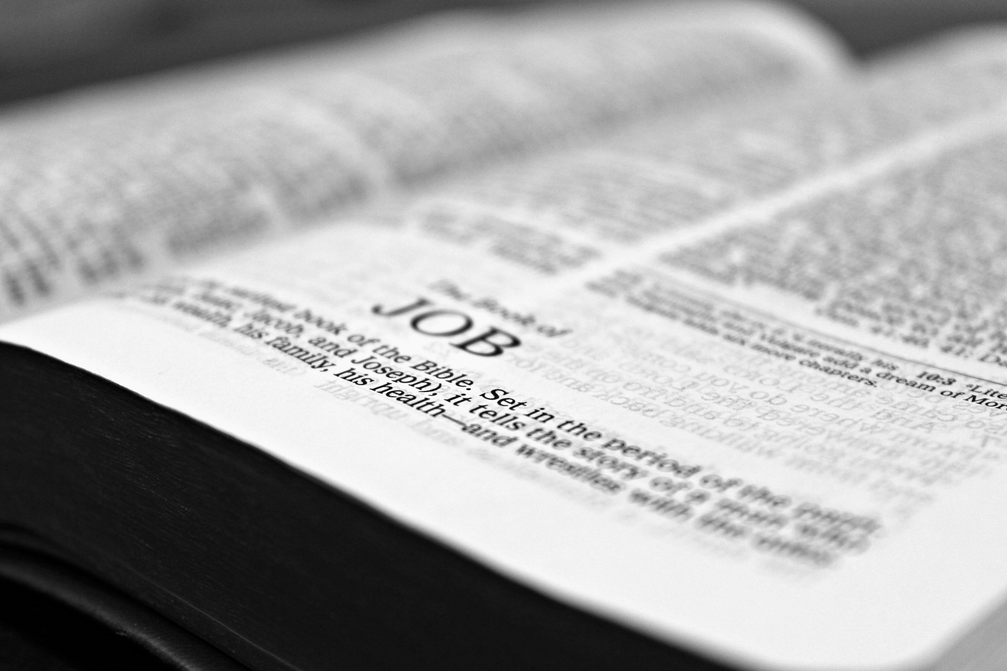 words, verse, finance, job, the media, business, extreme close-up, close-up, read, paper, communication, text, bible, study, page, 2K, arts culture and entertainment, HD Wallpaper