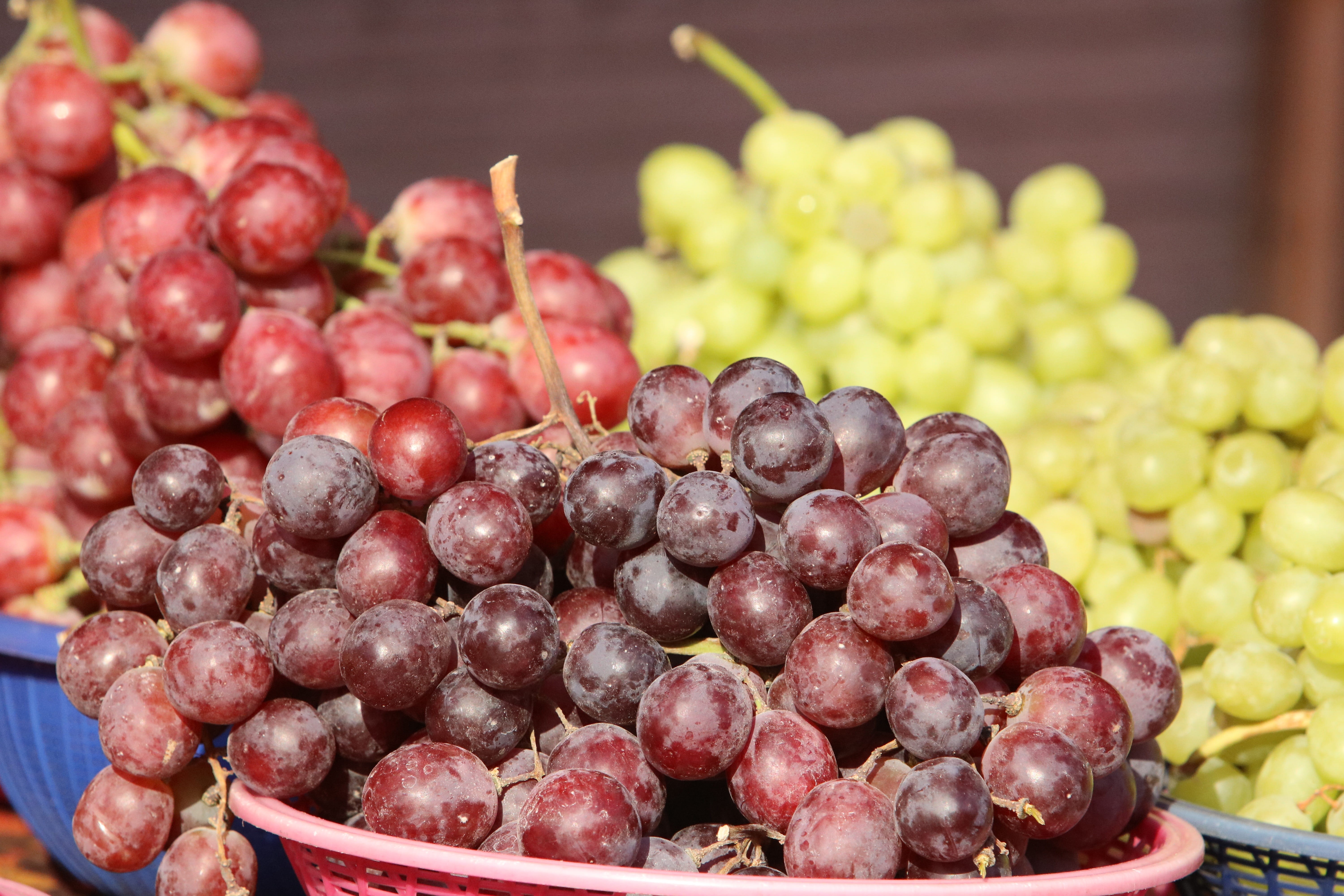 juicy, wellbeing, traders, organic, day, food, healthy eating, crispy including, consumerism, farmers market, the market, country, traditional market, grape, HD Wallpaper