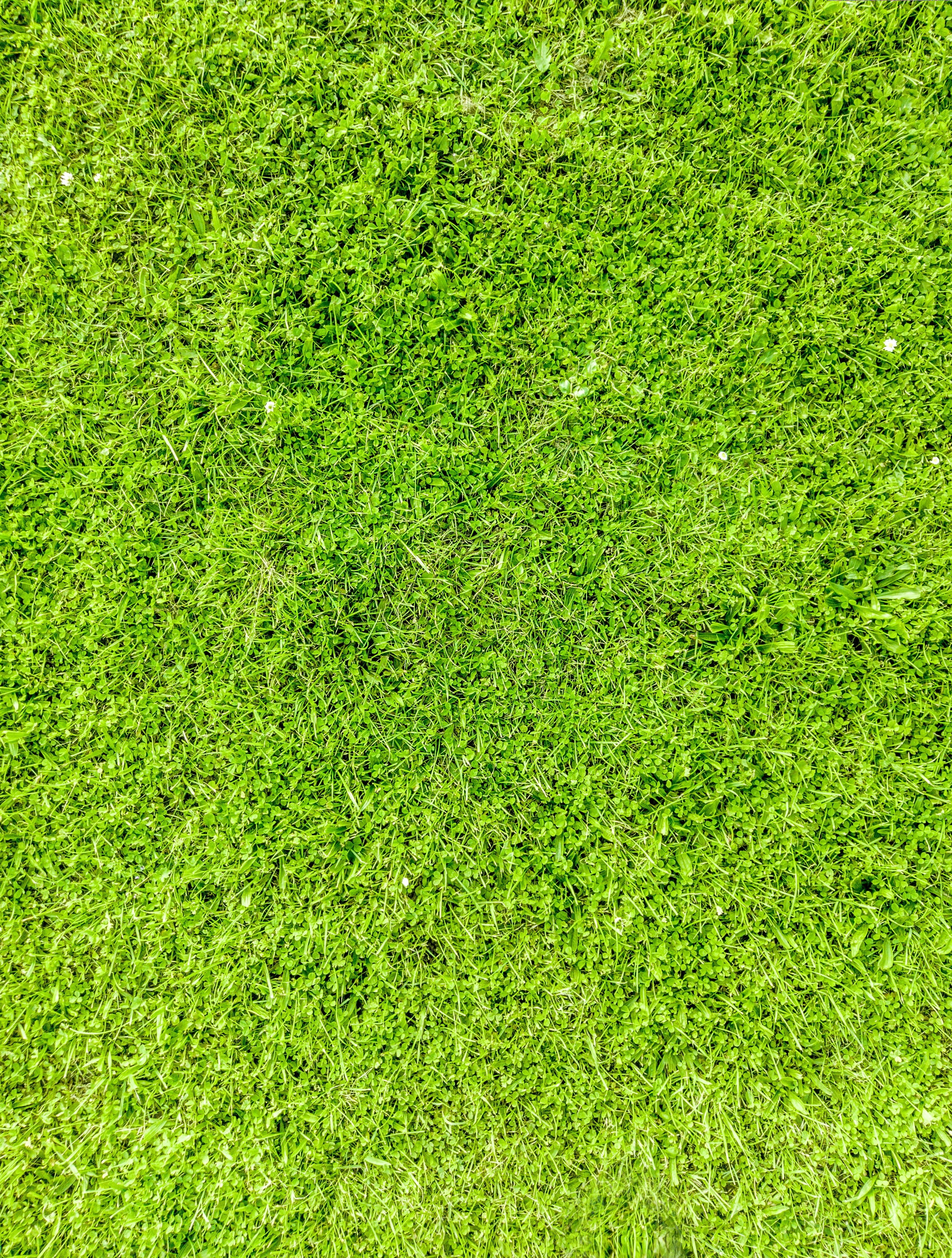 no people, outdoors, beauty in nature, green color, foliage, plant, day, sport, soccer, grass, green, high angle view, soccer field, texture, lawn, field, Phone HD Wallpaper