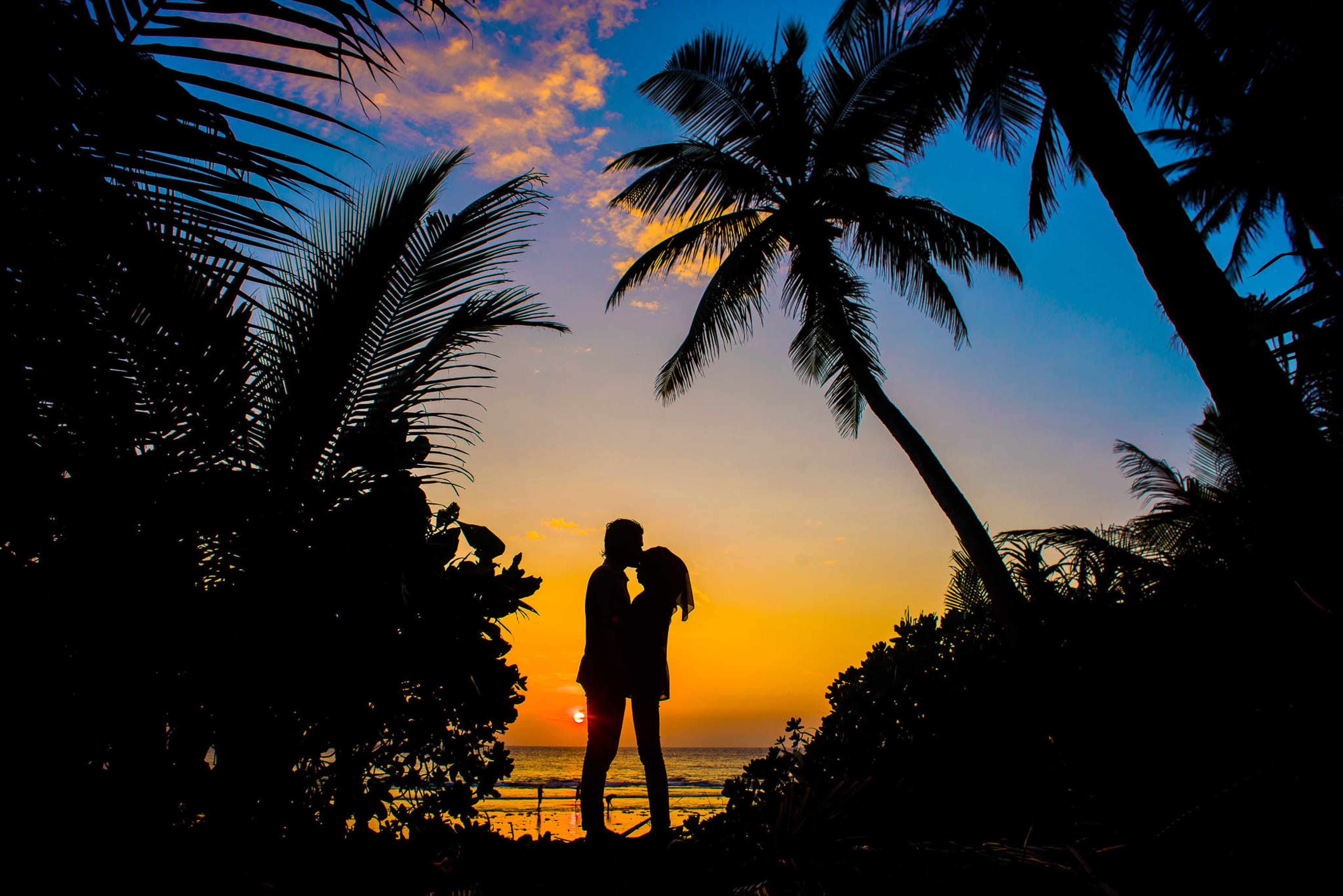 relation, backlit, sun, tropical, beauty in nature, wedding, beach, standing, 4K, tree, sunset, affair, growth, ocean, nature, plant, romance, dawn, maldives, HD Wallpaper