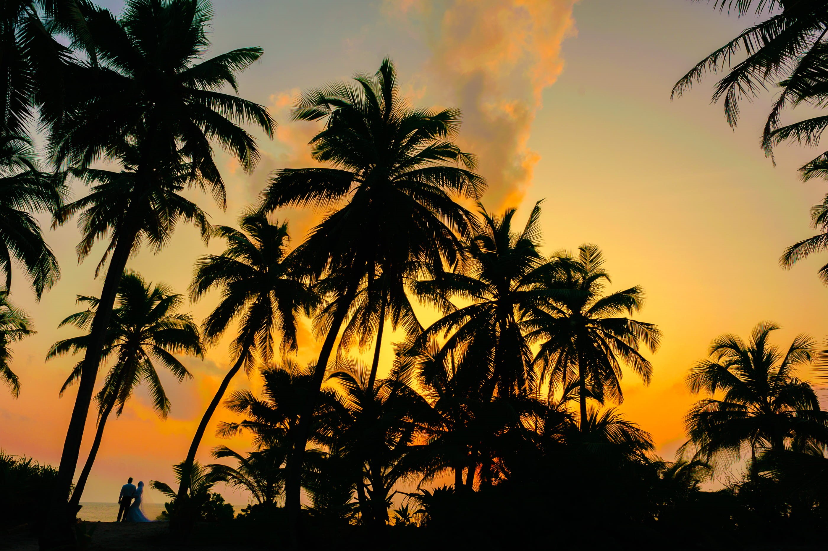 sand, maldives, seashore, Asadphoto, island, backlit, palm, evening, tree, honeymoon, silhouette, romantic sky, sun, cloud - sky, sunset, outdoors, resort, HD Wallpaper