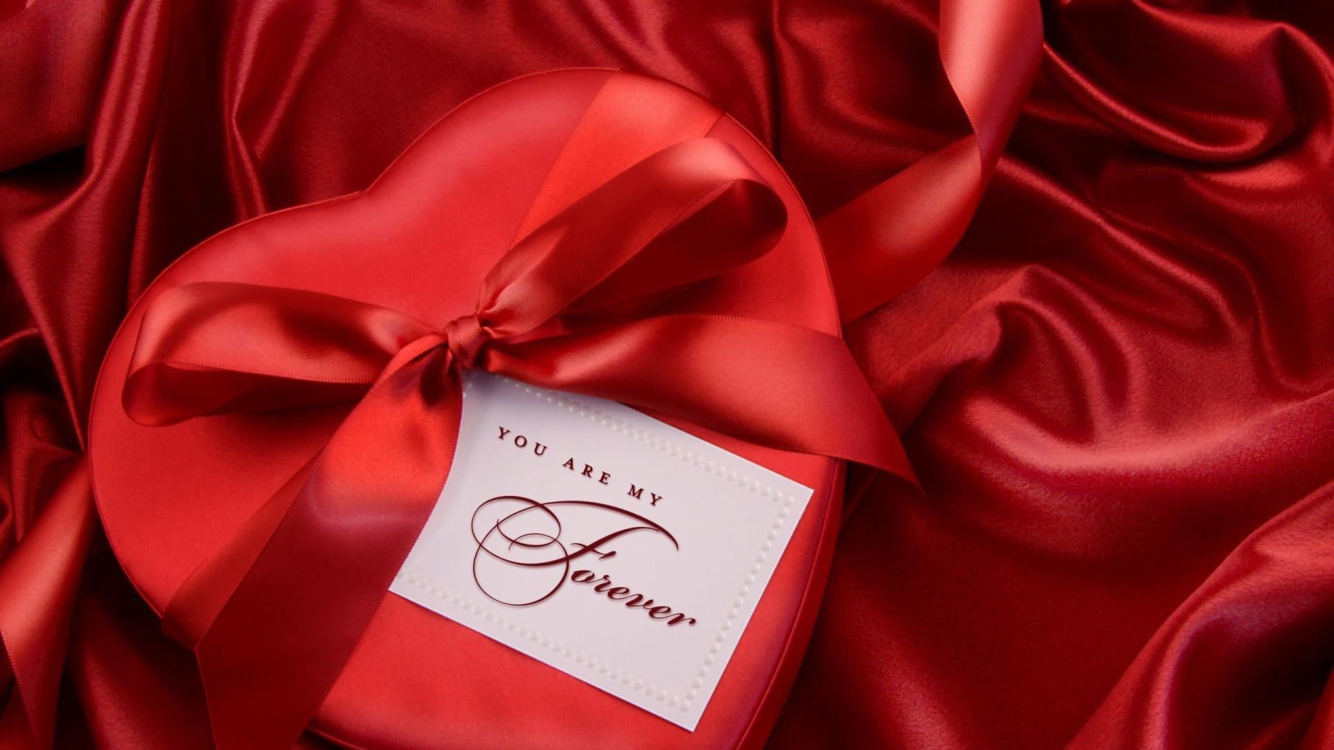 single, present, close, ribbon - sewing item, valentines day - holiday, blossom, red, petal, celebration, textile, romance, heart, close-up, emotion, garden, HD Wallpaper