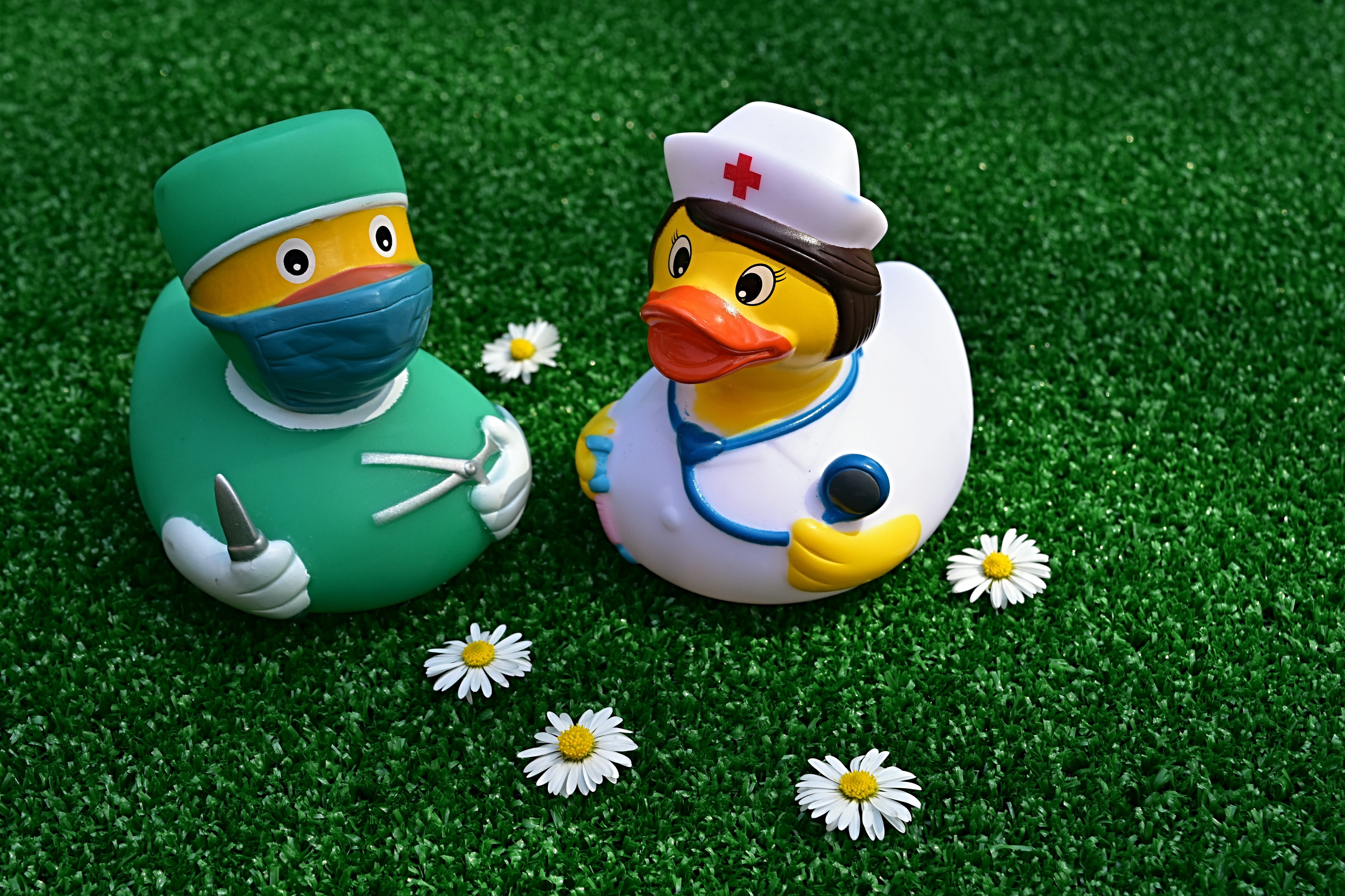 yellow, grass, no people, doctor, disease, art and craft, plant, profession, creativity, toy, human representation, intervention, flower, representation, HD Wallpaper