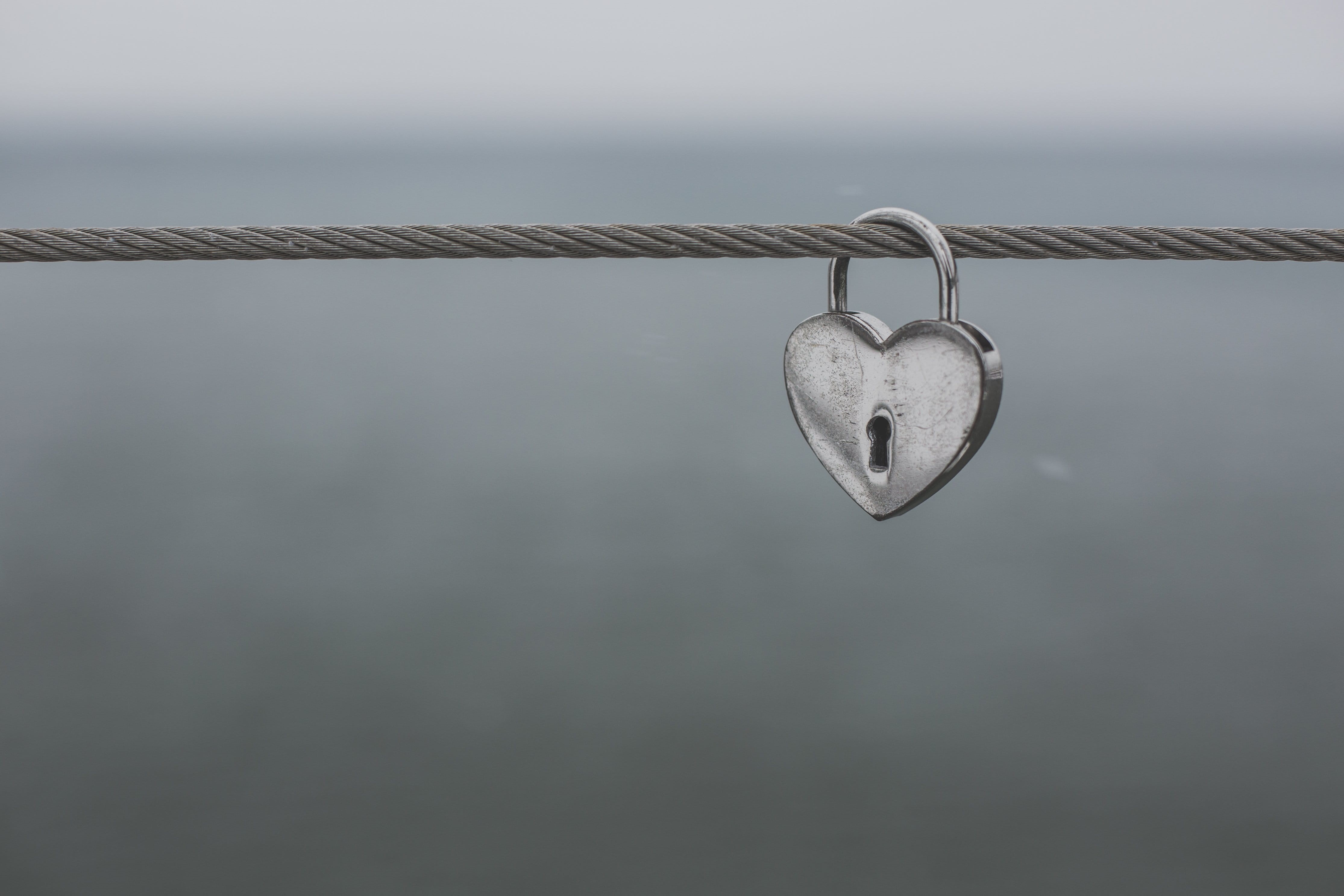 photo, metal, focus on foreground, Valentines Day, safety, nature, connection, rope, safe, silver colored, day, close-up, padlock, security, Love, outdoors, HD Wallpaper