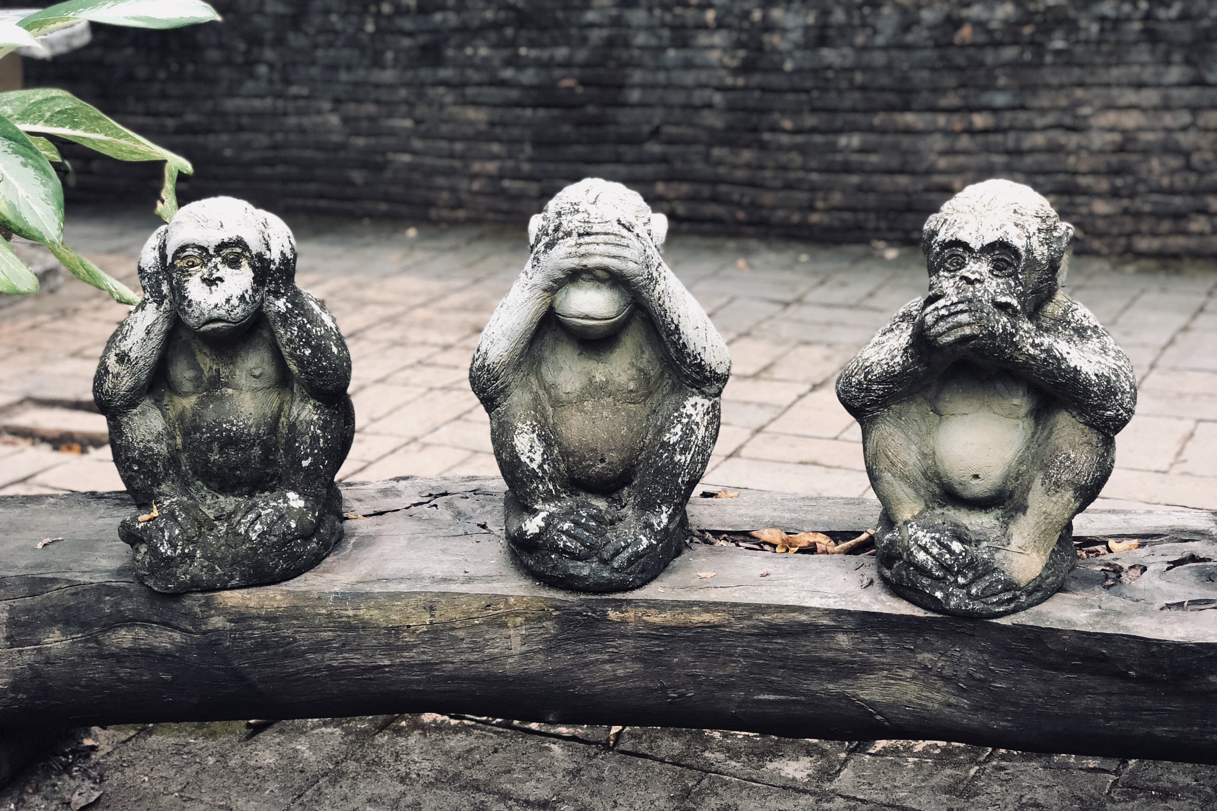 wise, built structure, log, proverb, religion, creativity, eyes, monkeys, representation, carving - craft product, wall - building feature, close-up, clever, HD Wallpaper