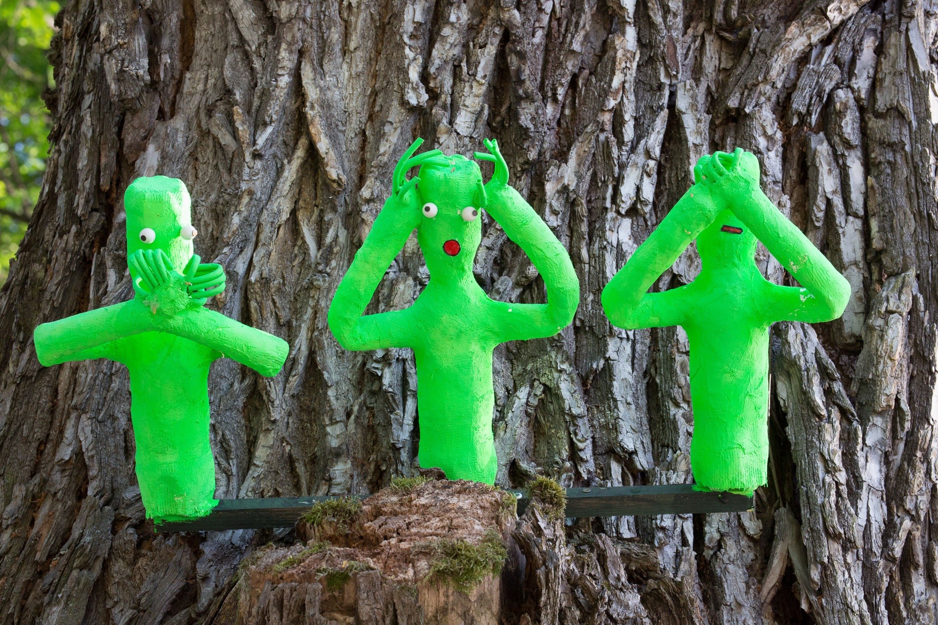 green color, art and craft, creativity, close-up, dont talk, land, wood - material, focus on foreground, day, figures, inflatable, growth, tree trunk, three, HD Wallpaper