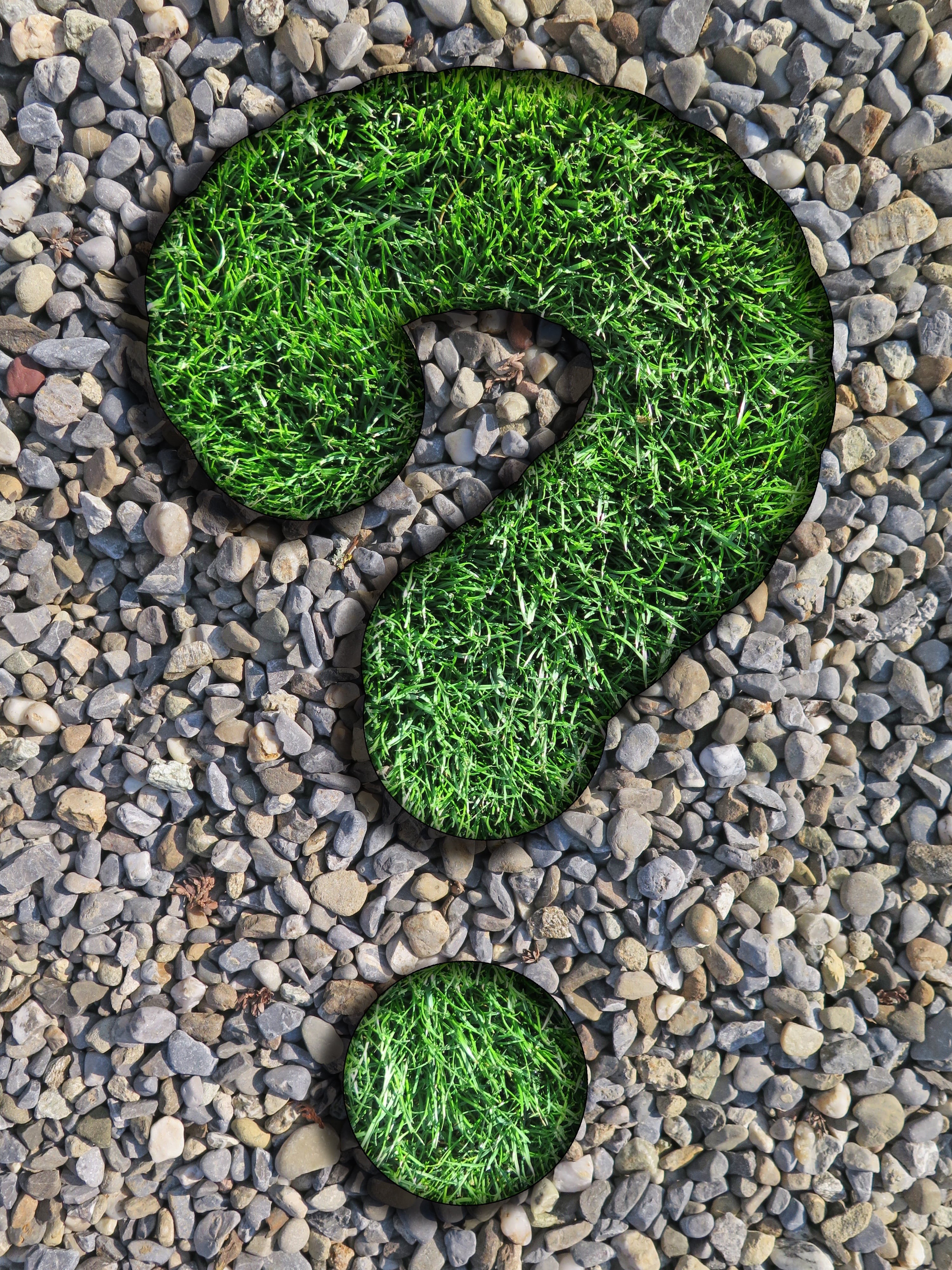 field, question, close-up, plant, rock, weed, outdoors, rush, indoors, about, day, steinchen, gravel, high angle view, solid, large group of objects, no people, Phone HD Wallpaper