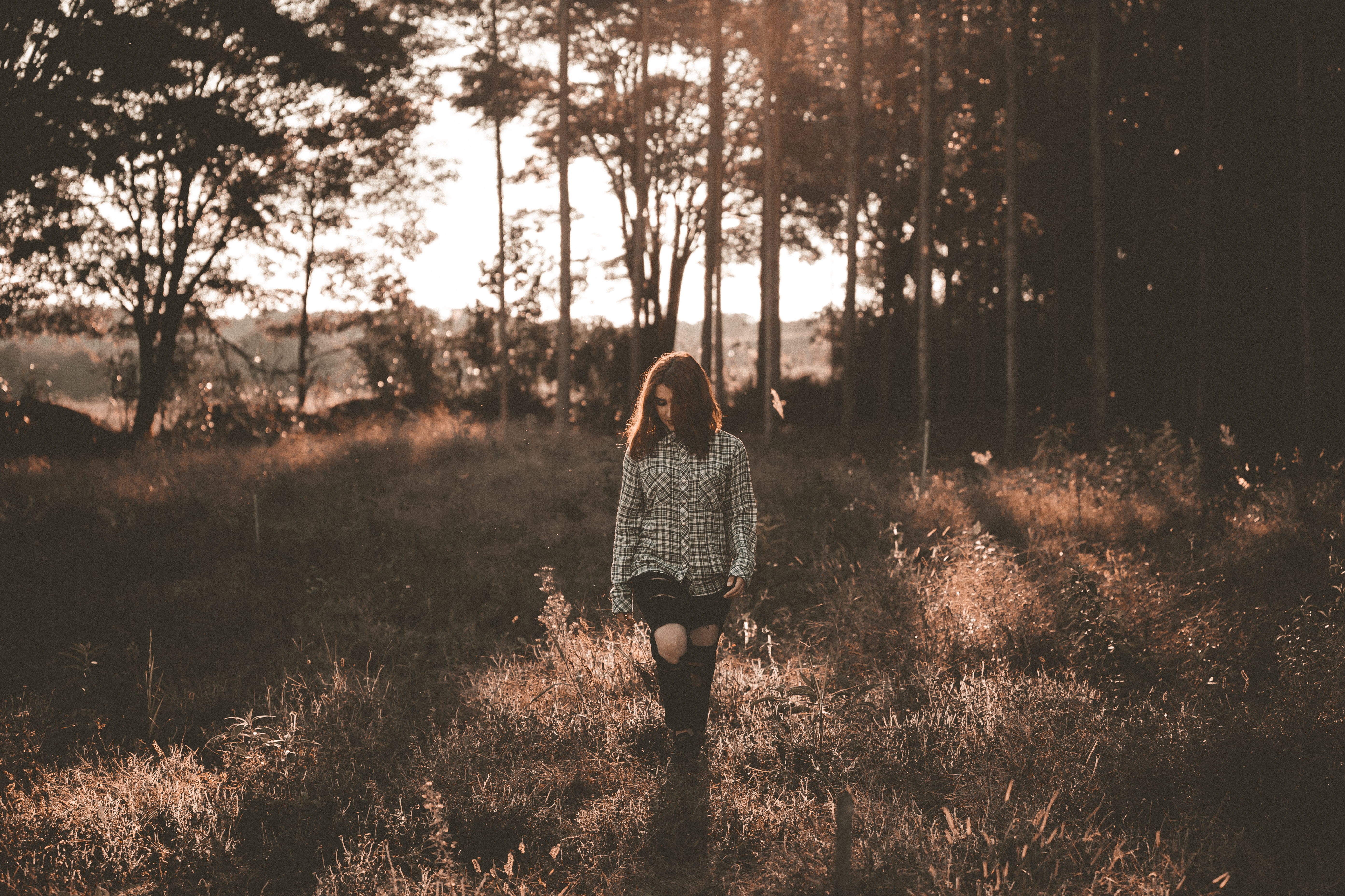 non-urban scene, grass, near, one Person, woodland, females, tree, day, real people, enjoyment, rear view, adult, leisure activity, standing, sunlight, HD Wallpaper
