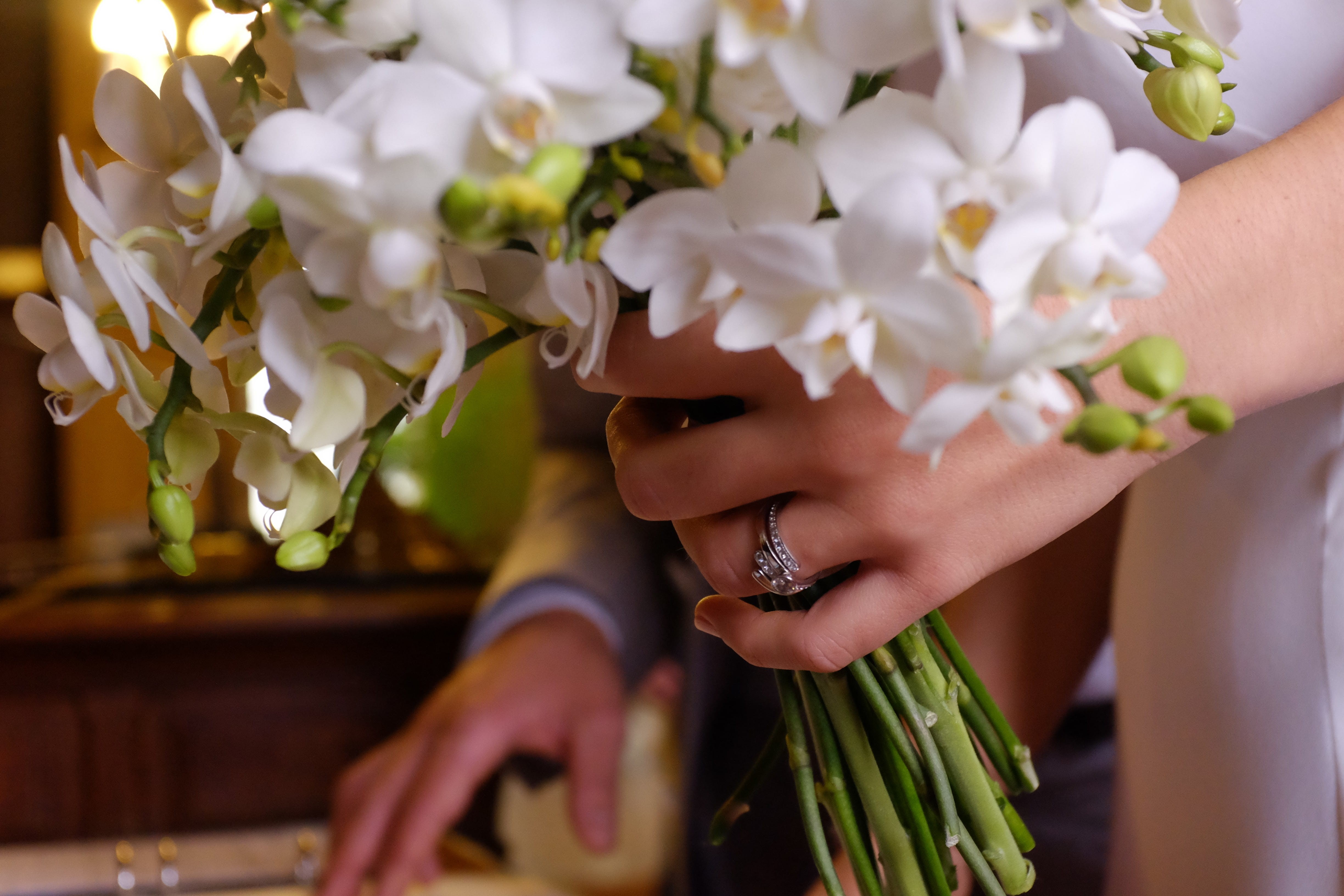 pure, hand, fragility, beauty in nature, two people, close-up, ring, people, wedding ring, adult, women, nature, bouquet, human body part, white, plant, HD Wallpaper