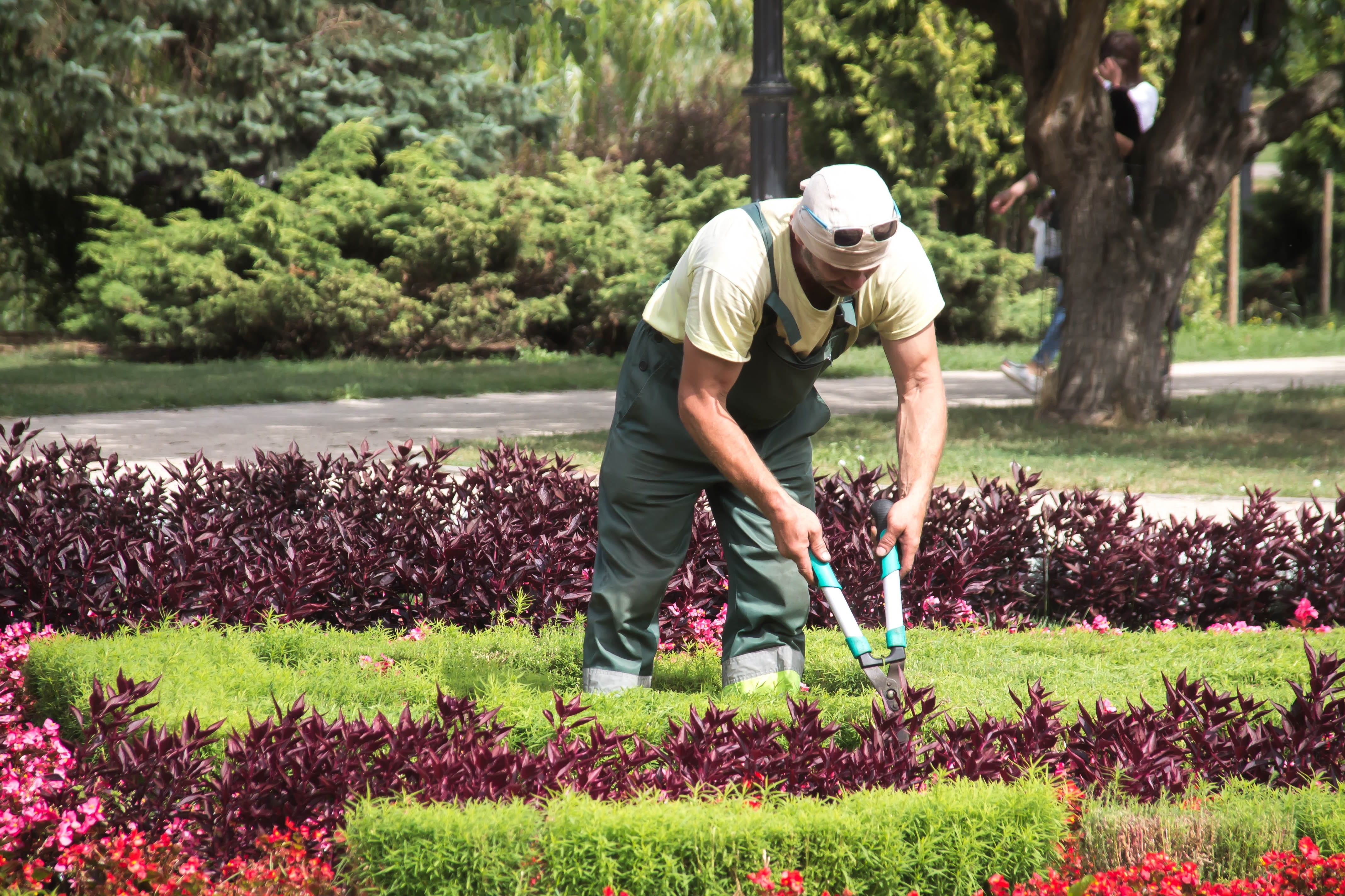 flowers, summer, green color, gardener, nature, men, lifestyles, man, full length, grass, one person, sport, plant, tree, employee, garden, day, 4K, growth, HD Wallpaper