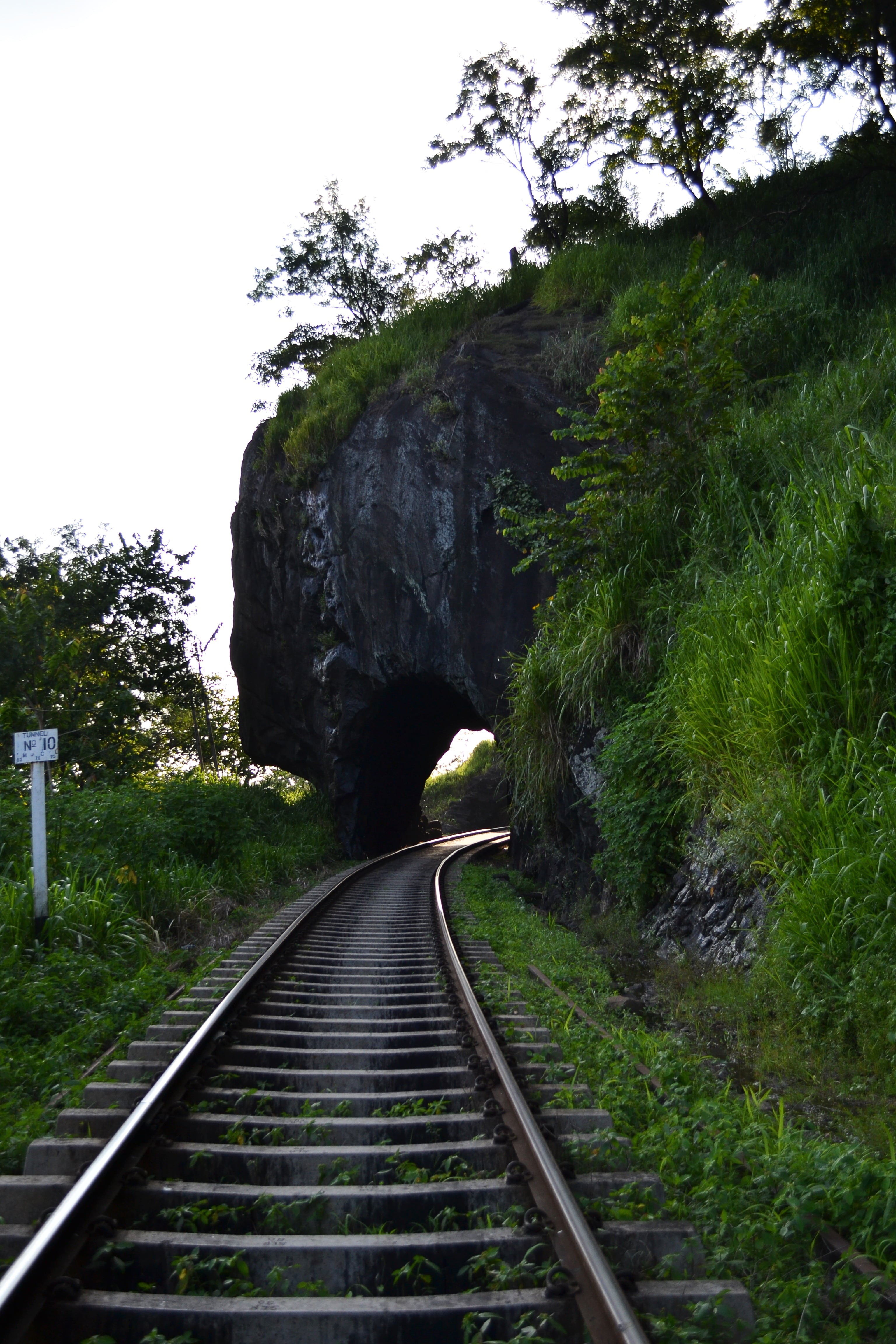 scenics - nature, outdoors, ceylone, walking, rail road, kadugannawa, returing home, diminishing perspective, vanishing point, long, tree, 4K, land, plant, Phone HD Wallpaper