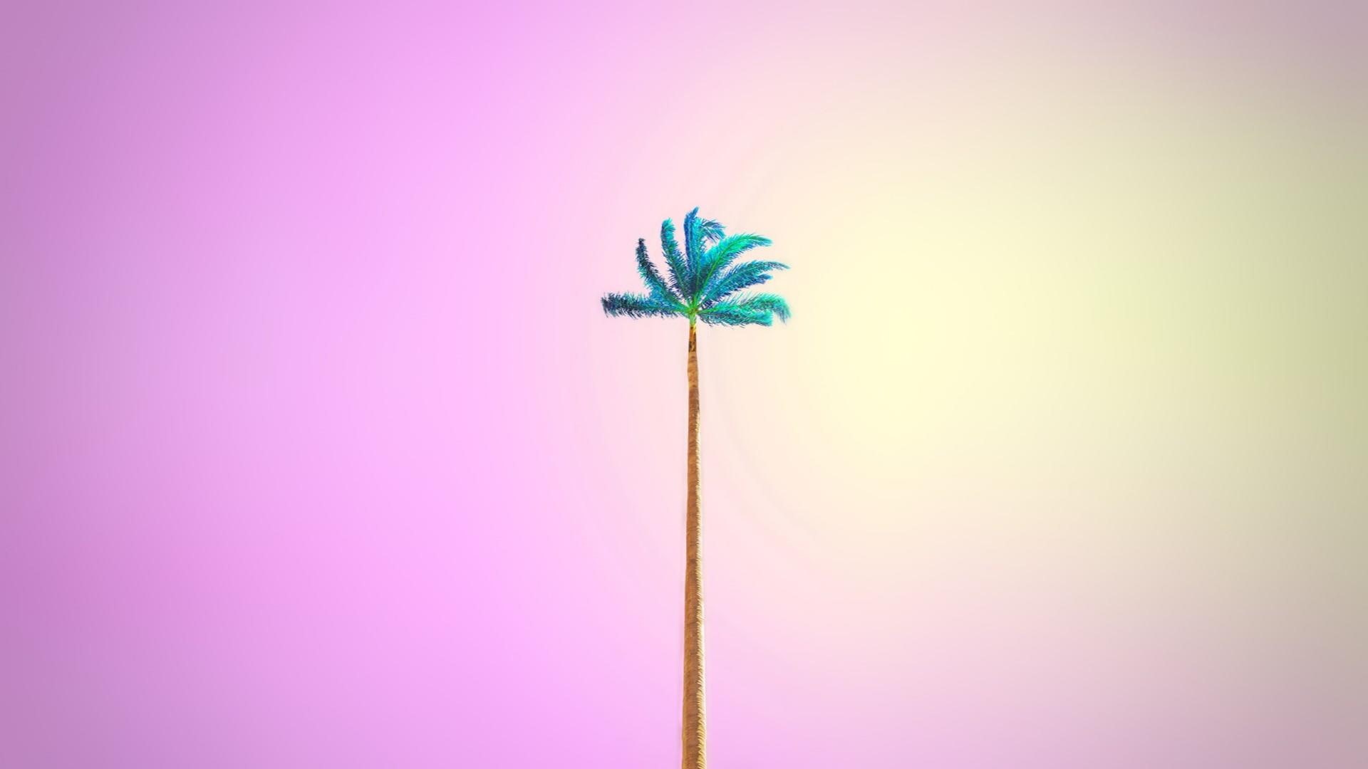 pink, minimal art, candy, 1080P, minimal, minimalist, candy minimal, palm, light, HD Wallpaper