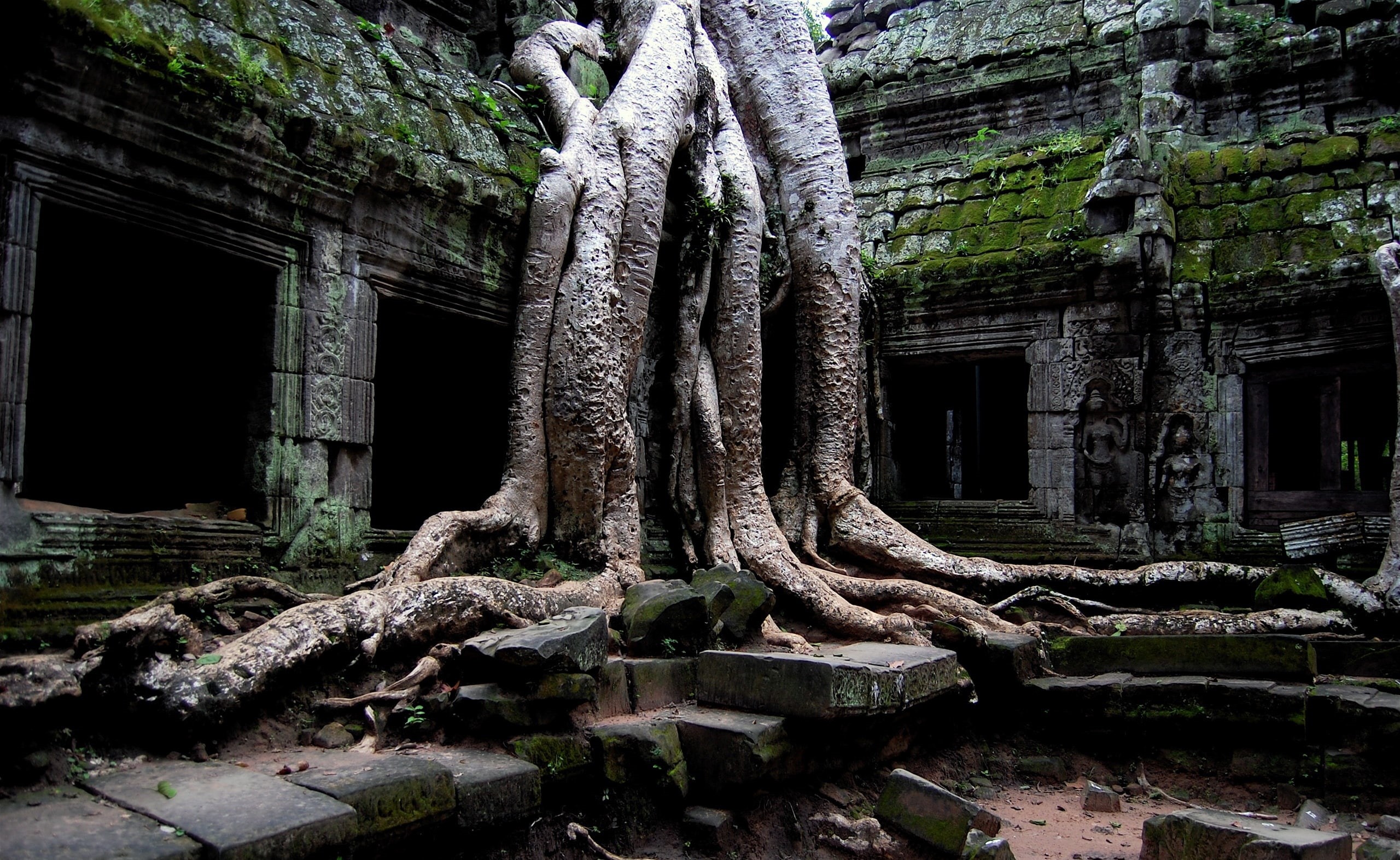 old ruin, gray, ruined, old, weathered, trunk, architectural column, angkor, growth, the past, old hindu temple, day, building exterior, root, history, HD Wallpaper
