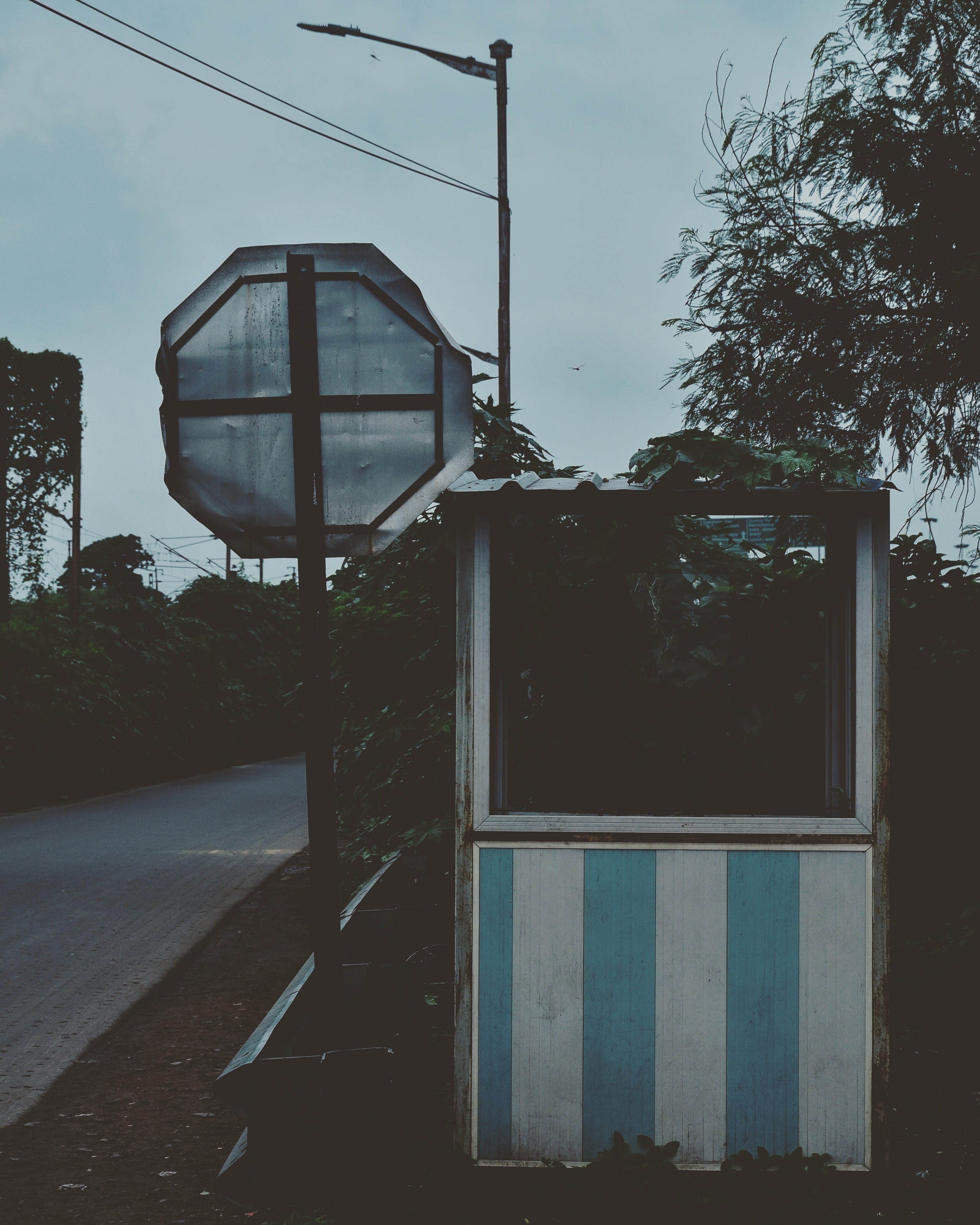 india, house, kolkata, road, day, plant, sign, architecture, technology, communication, 4K, nature, residential district, tree, window, building exterior, Phone HD Wallpaper