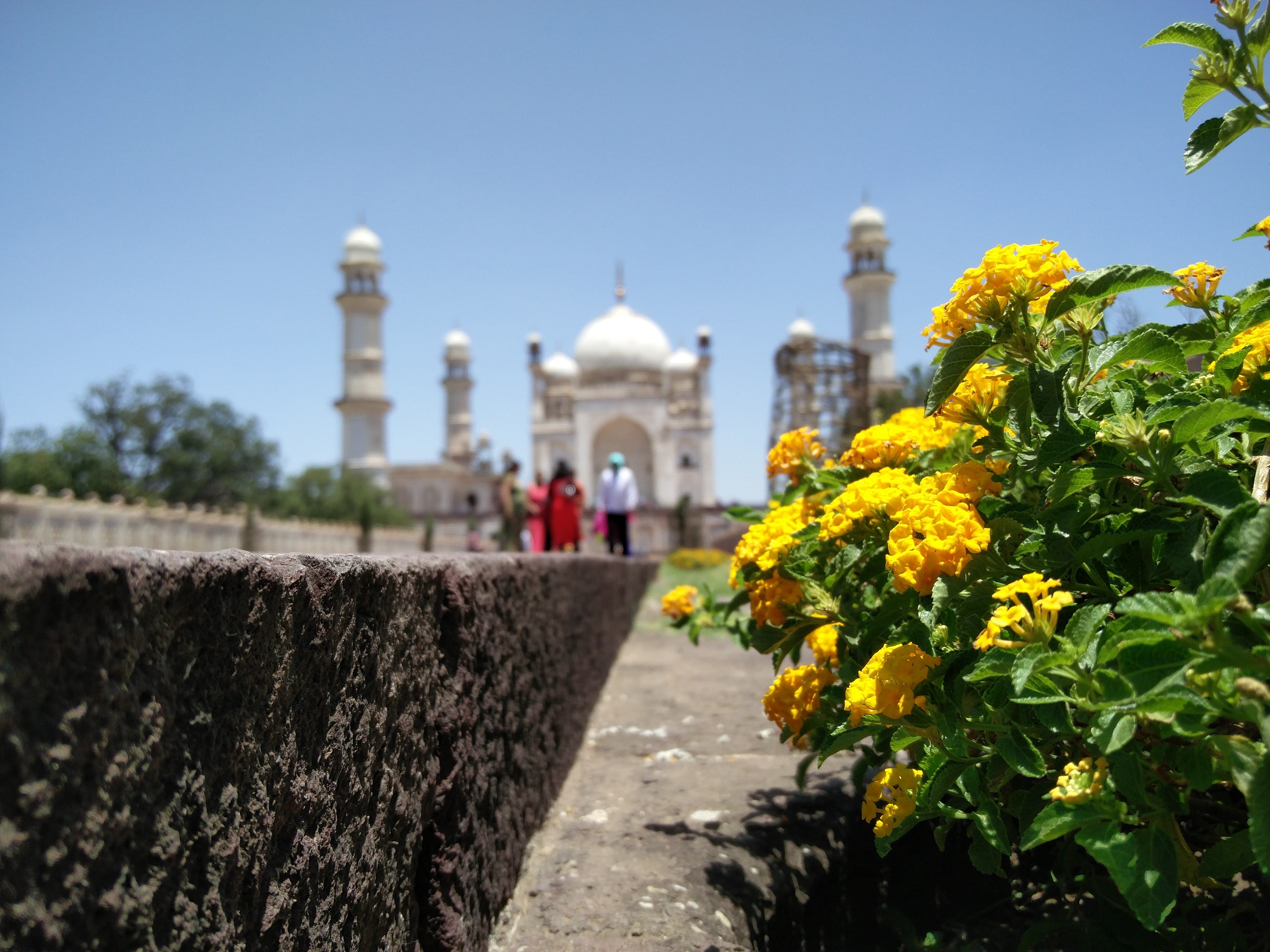 no people, day, dome, religion, belief, india, plant, outdoors, aurangabad, architecture, nature, building exterior, monument, flower, bibi ka maqbara, HD Wallpaper