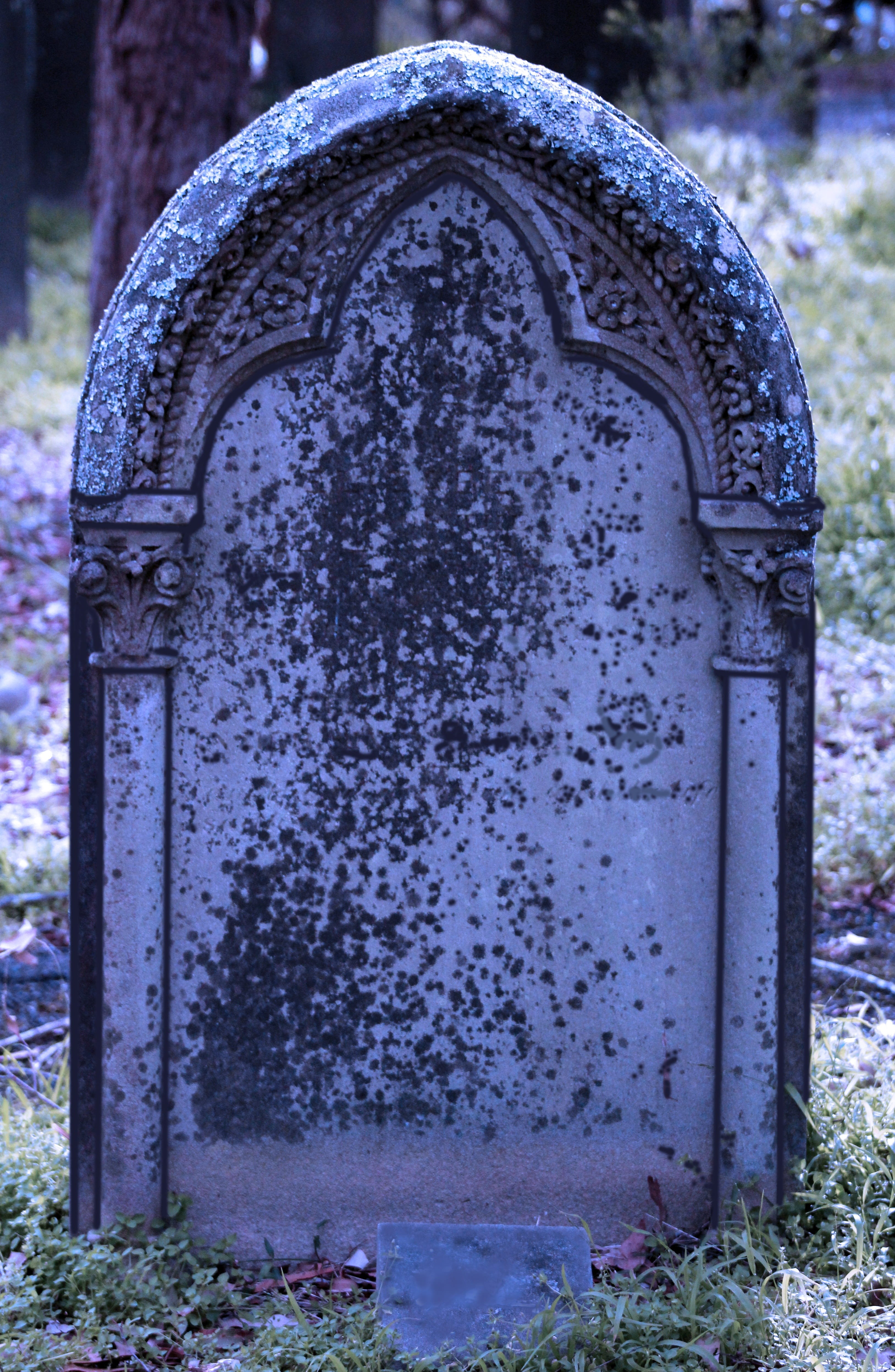 history, cemetery, outdoors, floral pattern, death, tomb, grave, the past, graveyard, tombstone, dead, grave stone, stone, holy, metal, focus on foreground, Phone HD Wallpaper