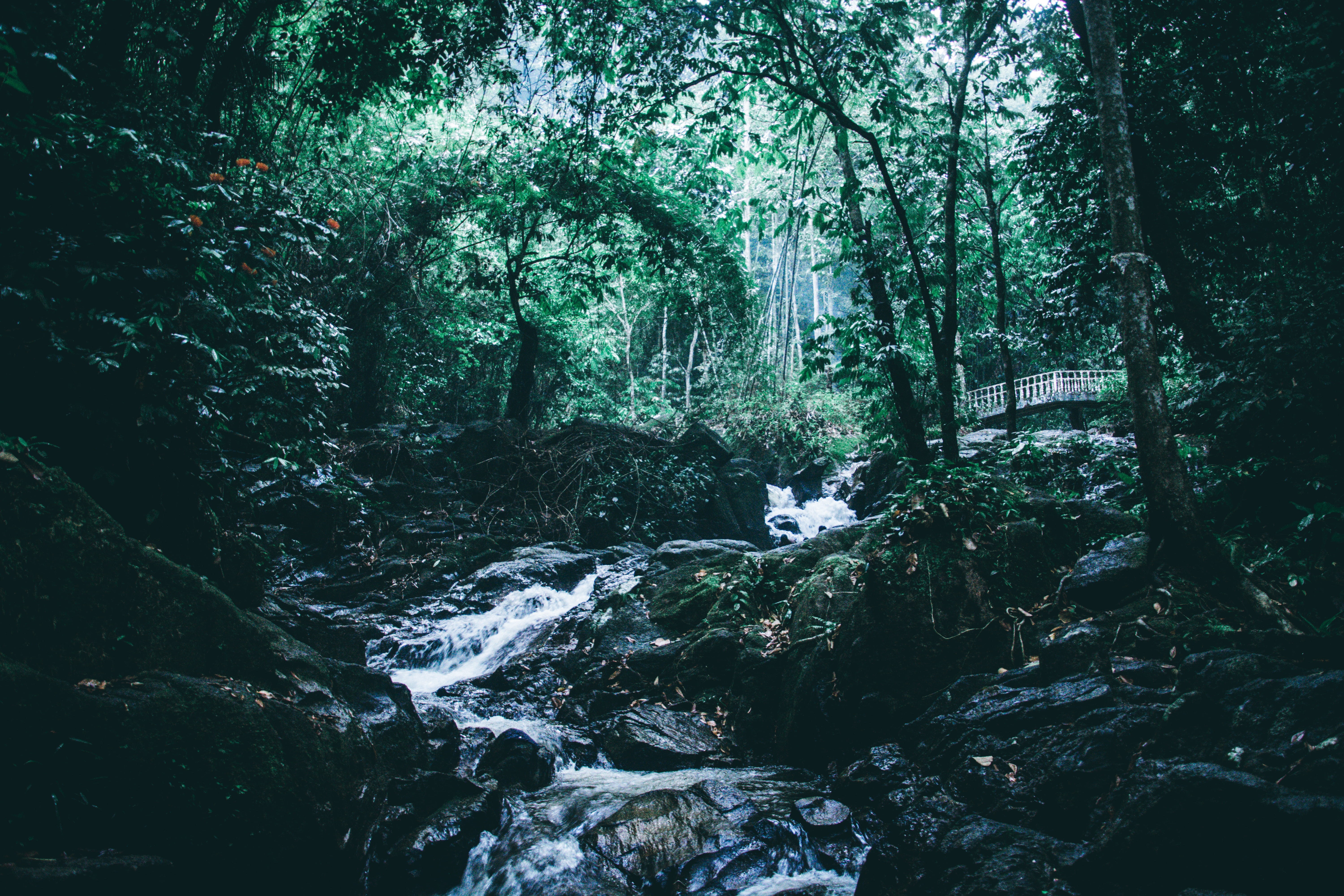 flowing water, selangor, no people, land, tree, rainforest, motion, travel, non-urban scene, plant, solid, nature, forest, tranquility, rock, water, scenics - nature, HD Wallpaper