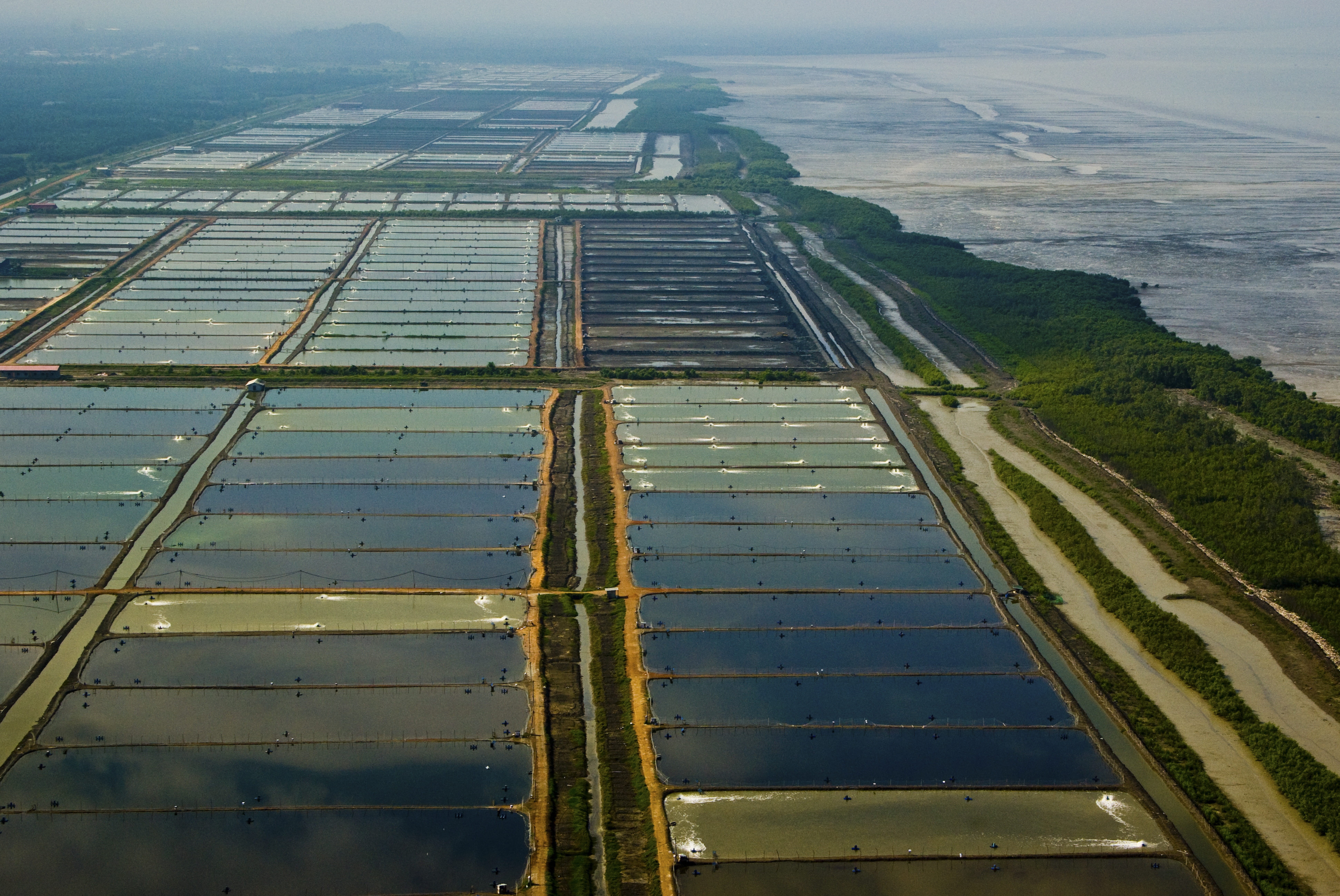 nature, no people, field, sekincan town, water, selangor state, day, view, aerial view, 8K, architecture, landscape, land, building exterior, sea, industry, HD Wallpaper