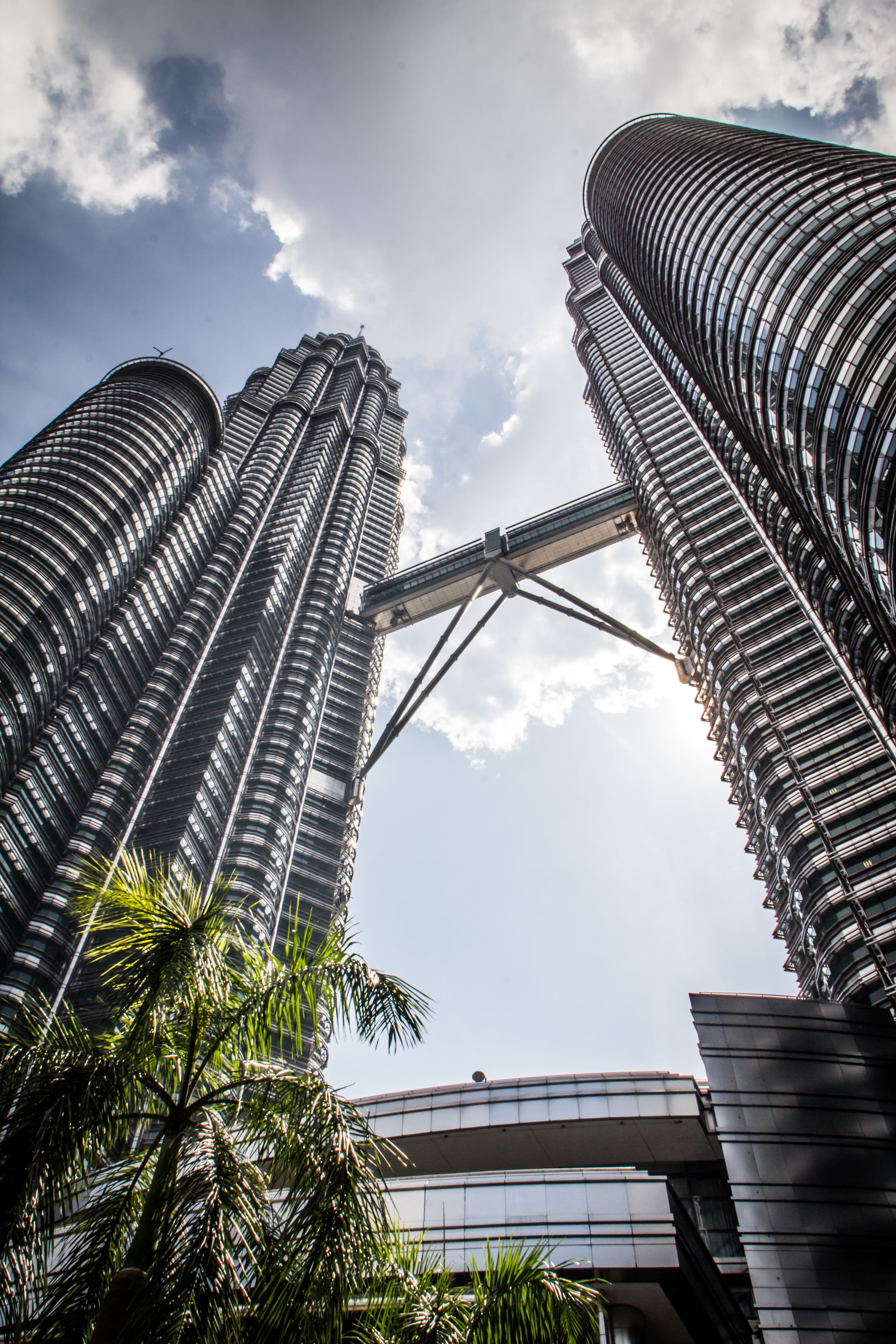 tall - high, twin towers, lumpur, modern, 5K, asia, towers, big city, building exterior, landmark, built structure, tower, tree, nature, architecture, Phone HD Wallpaper