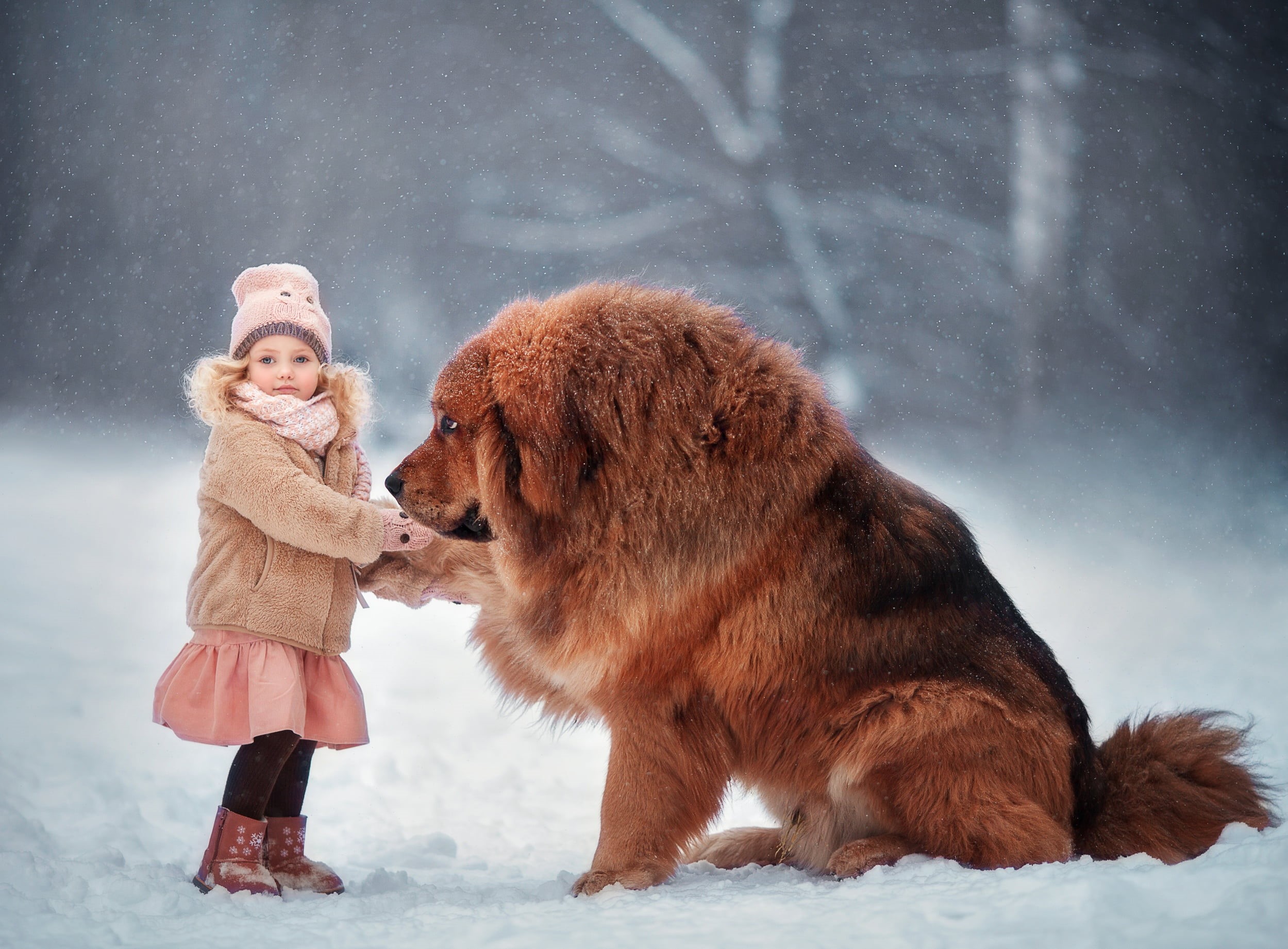 extreme weather, mammal, dog, one person, innocence, hair, warm clothing, full length, women, 1080P, friends, clothing, friendship, snowing, Anna Melnikova, HD Wallpaper