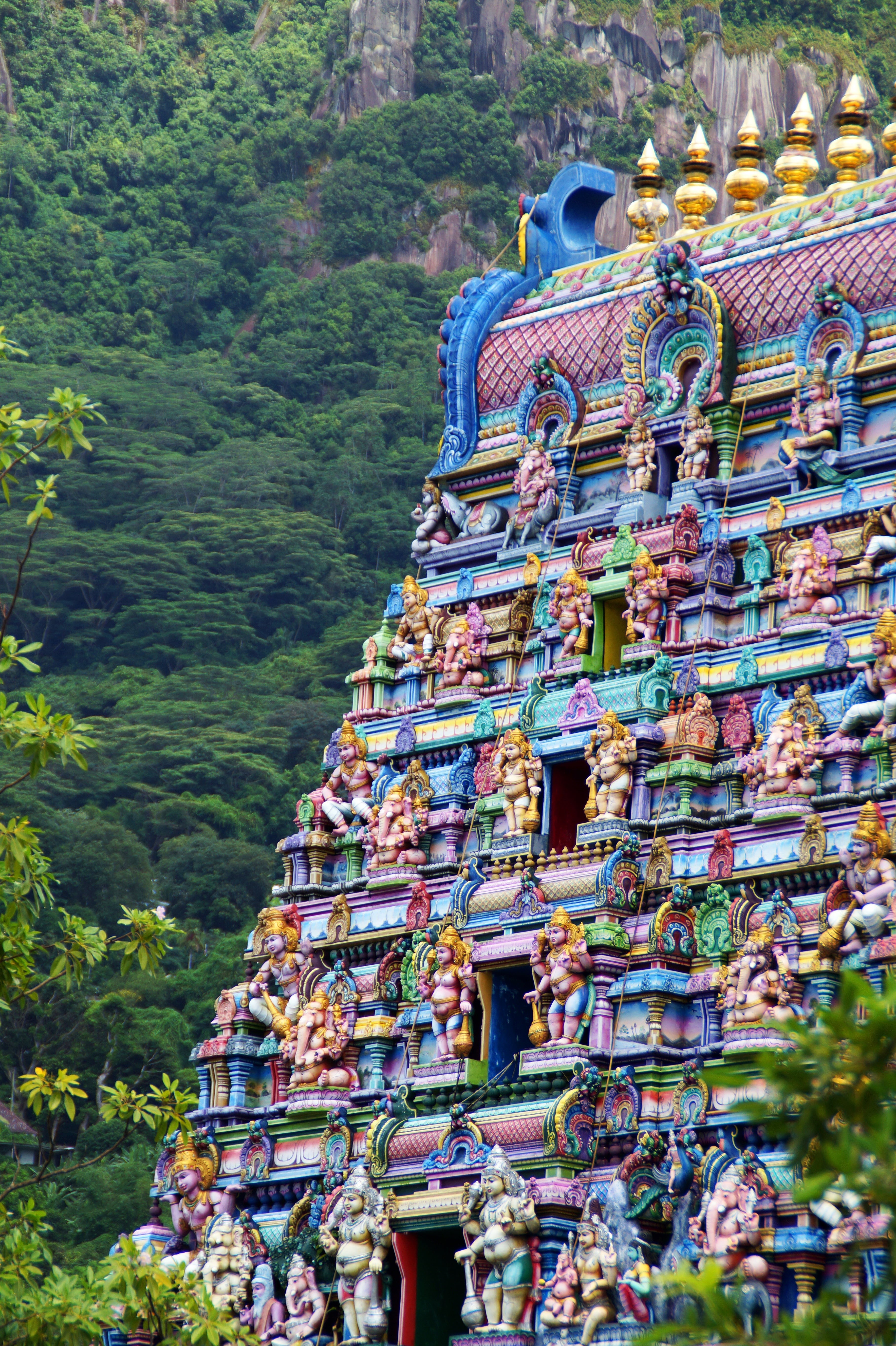hindu temple, place of worship, victoria, architecture, religion, hindu, tree, nature, belief, day, real people, mahé, mountain, seychelles, travel, shrine, Phone HD Wallpaper