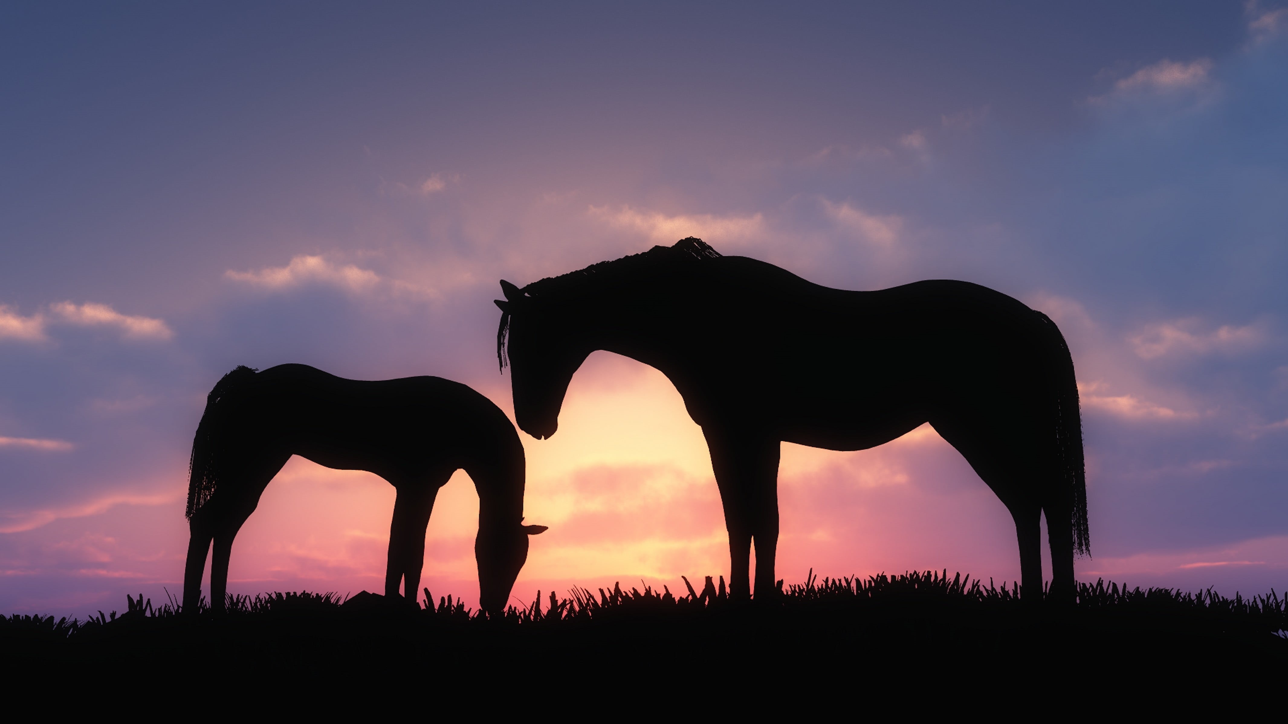herbivorous, african elephant, horse, animals in the wild, elephant, animal themes, outdoors, beauty in nature, 4K, animals, vertebrate, cloud - sky, sky, HD Wallpaper
