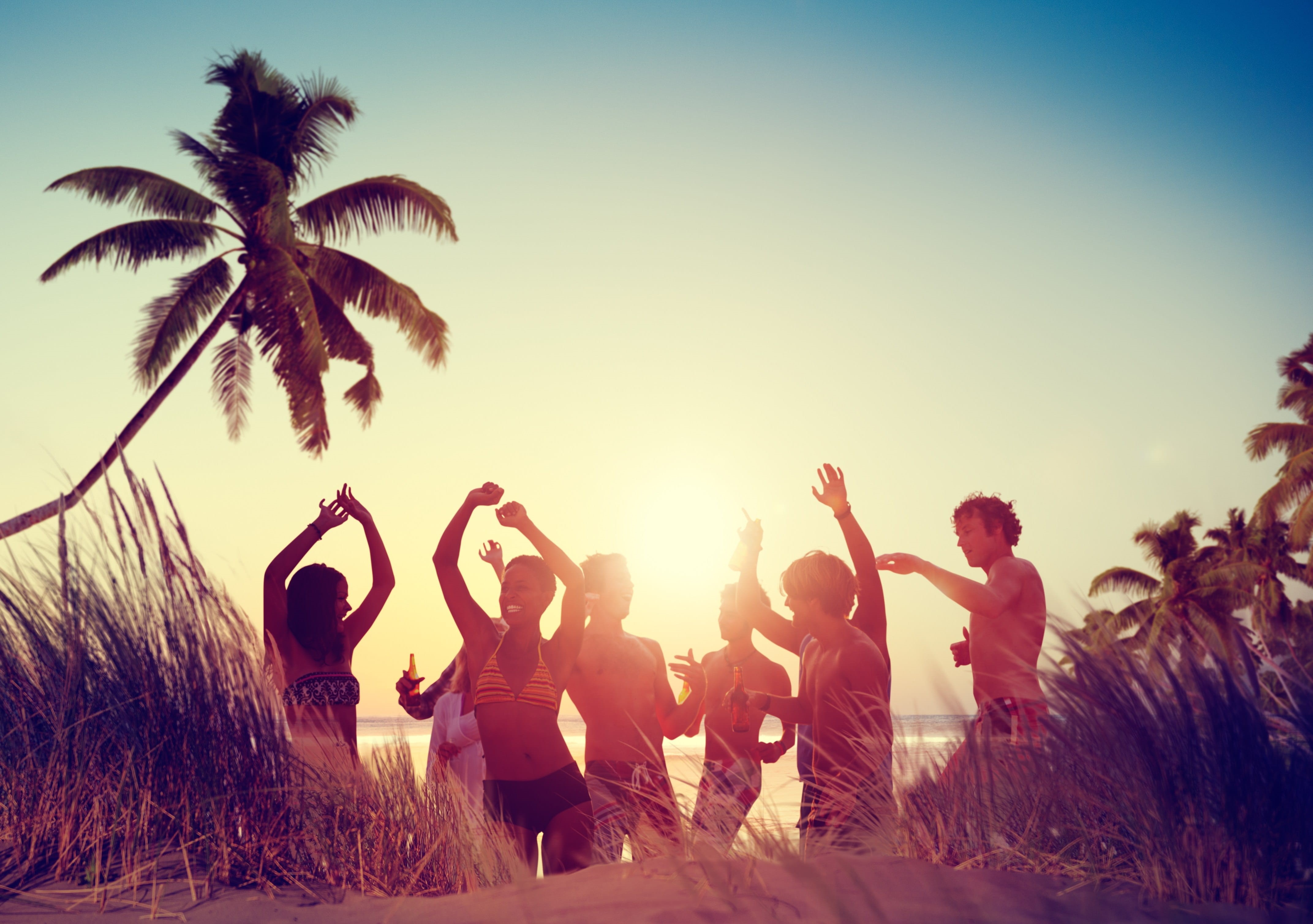 dancing men, adult, family, human arm, real people, party, positive emotion, standing, land, sunlight, people, fun, men, women, arms raised, beach, plant, HD Wallpaper
